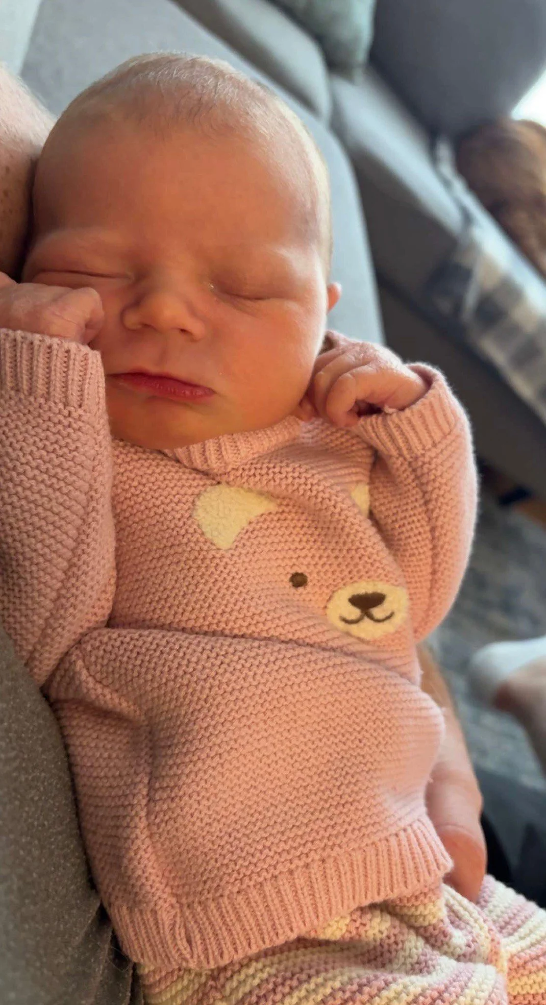 Meals for the Ellis Family