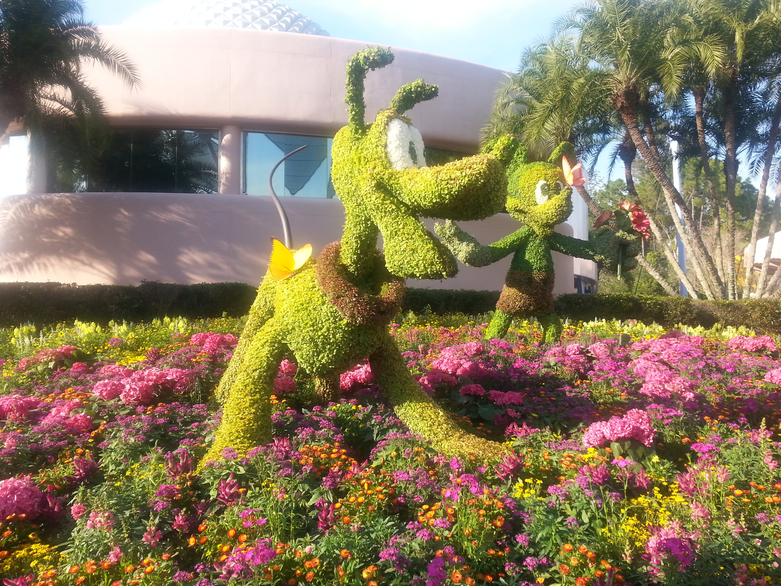20140403_175505.jpg