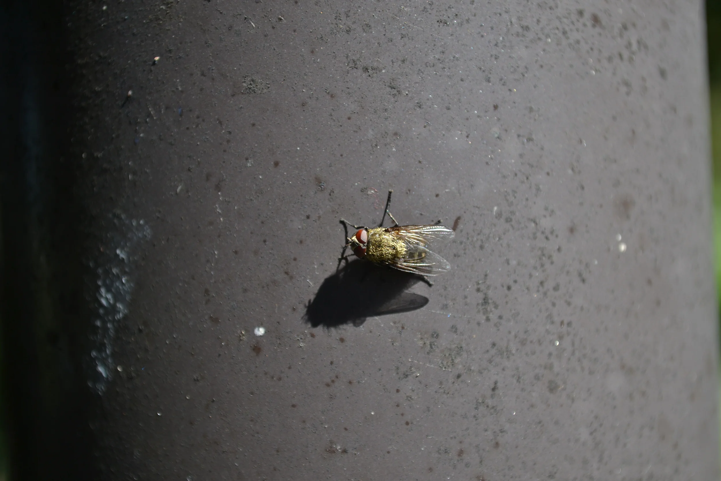 Ithaca, New York - September 2013