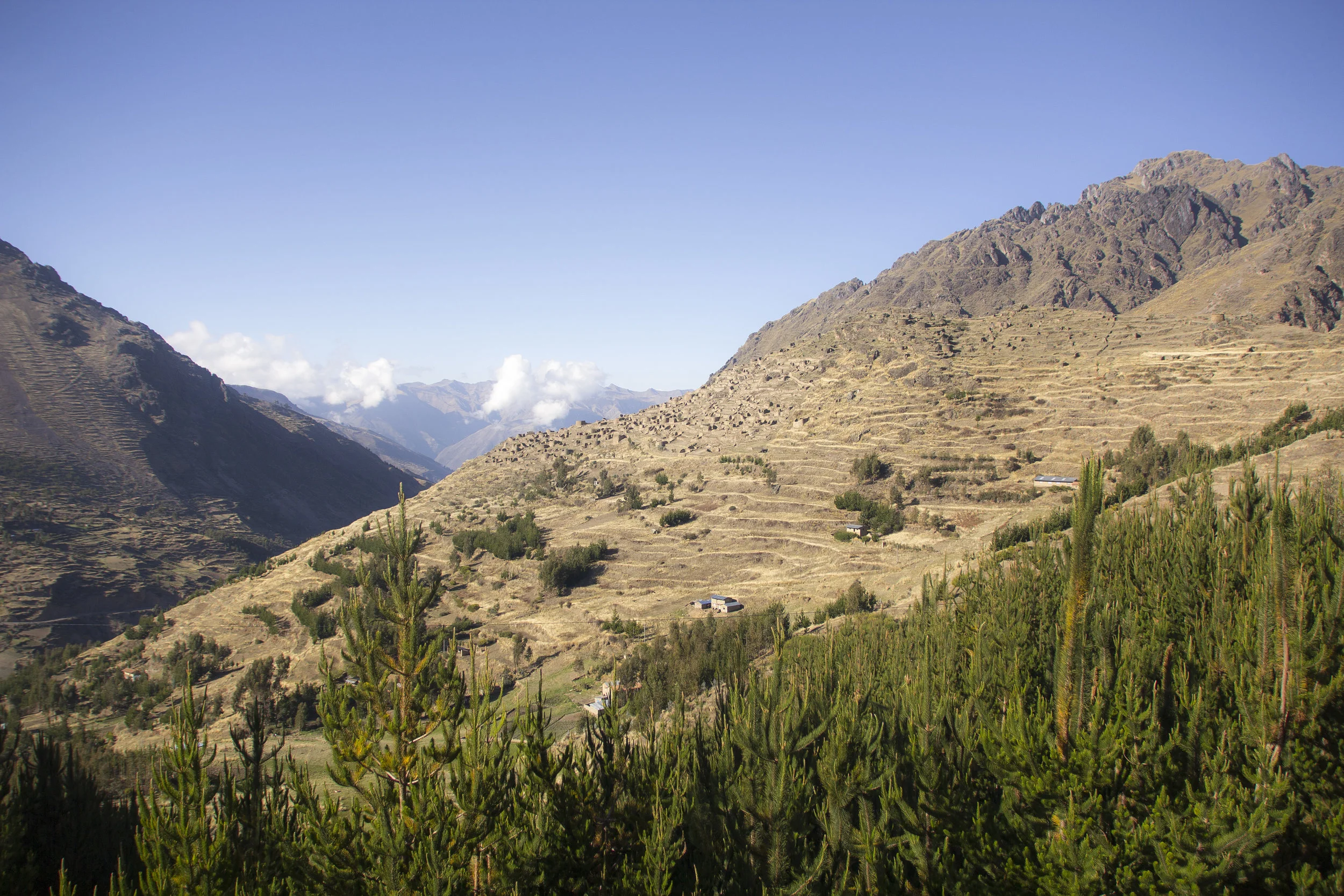 Peru_77.jpg