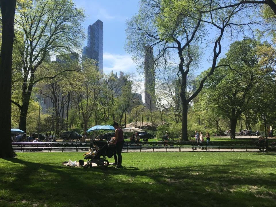 A view of Central Park outside the zoo.