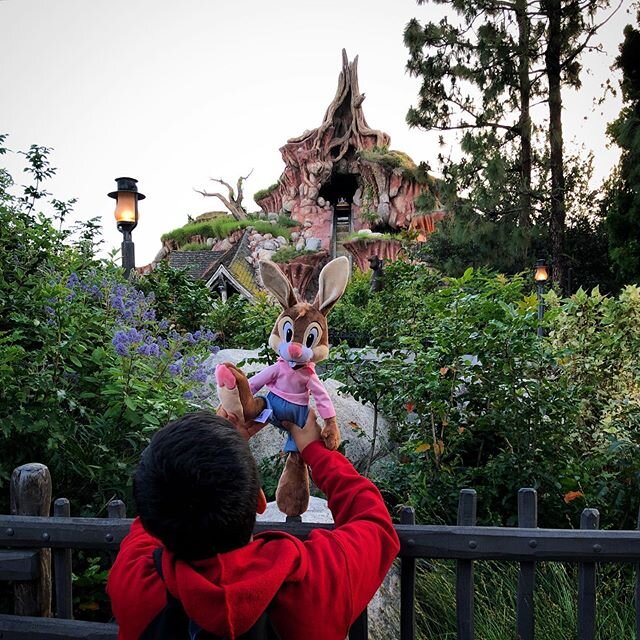 [Photo: my son at Splash Mountain. May 2019]

So Splash Mountain is getting cancelled.

Damn. This sucks. I always loved the attraction and the movie it was based on. Uncle Remus was a hero to me and his message was that of transcendence. In true Dis