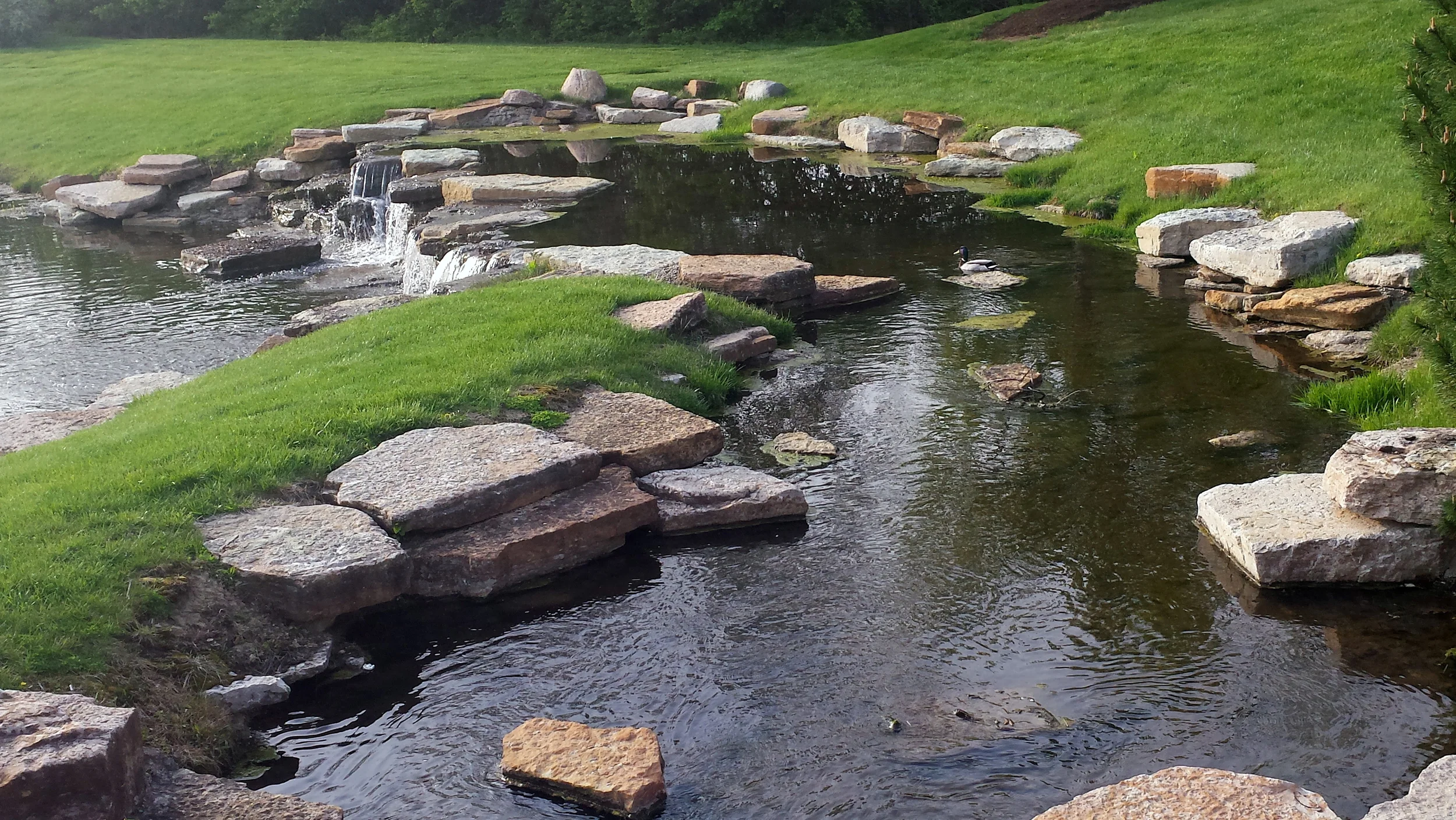 20150424_183554.jpg