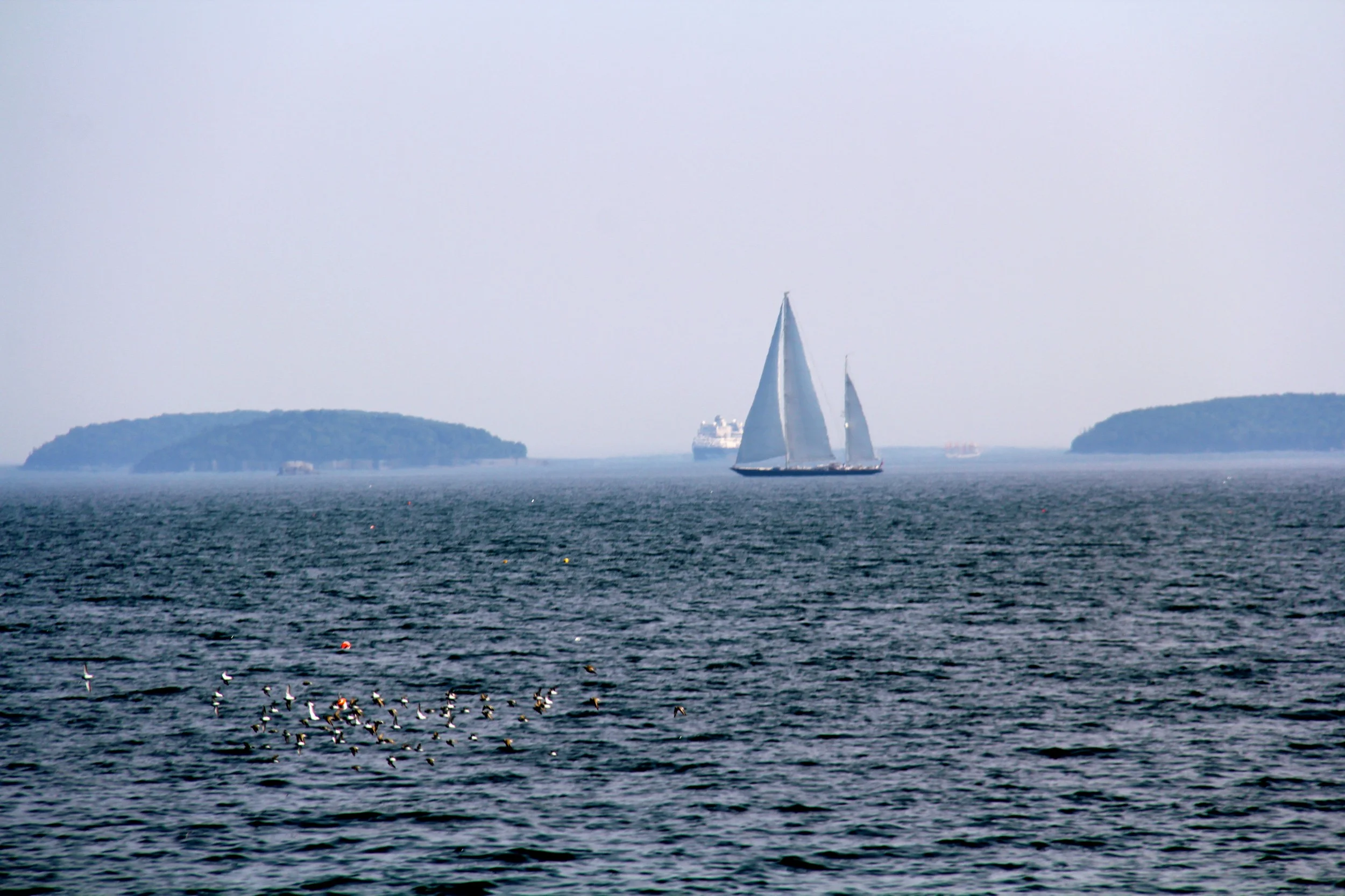 sailboat-frenchman-bay-maine