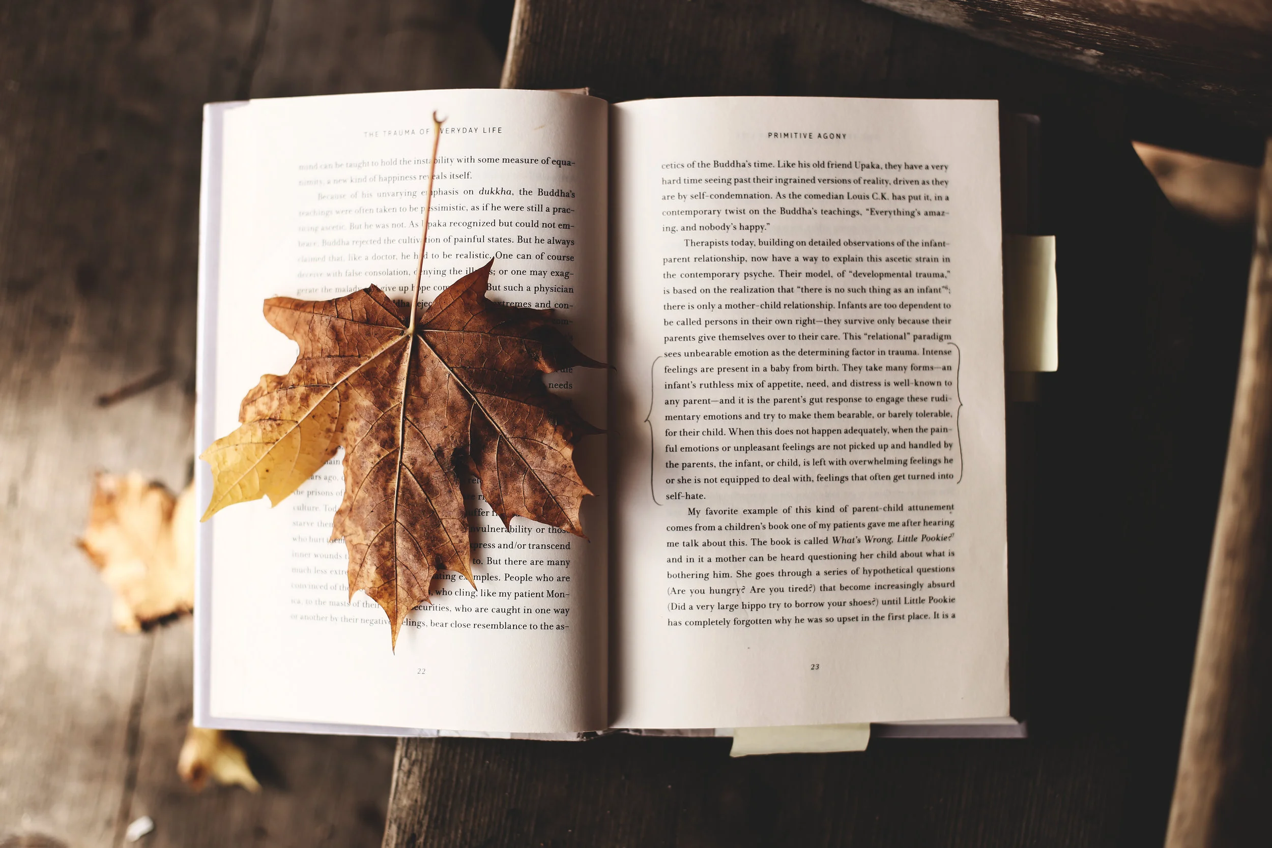 Seasons of Grief