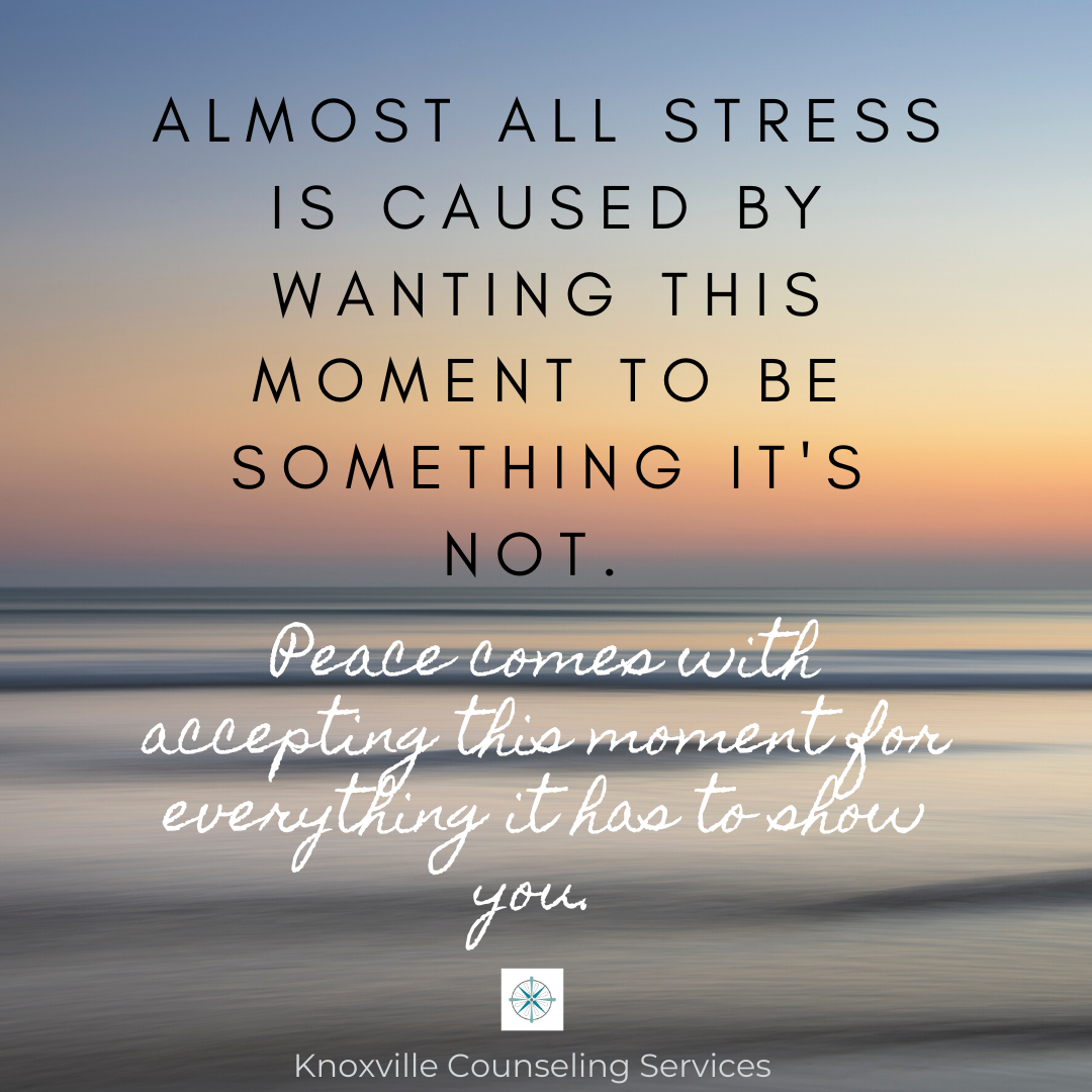5 Ways Faulty Thinking Causes Stress and How To Stop It.