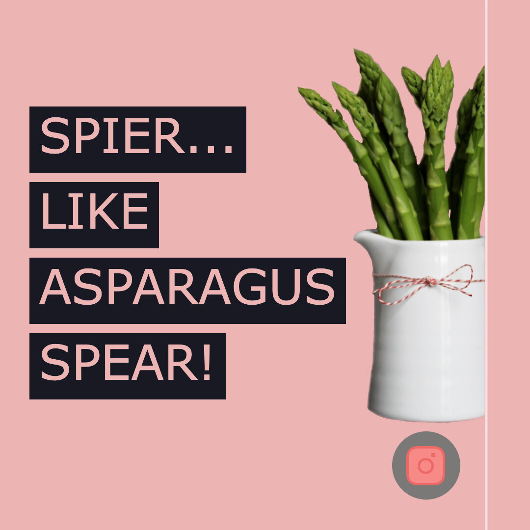 Spier Asparagus Spear .jpg