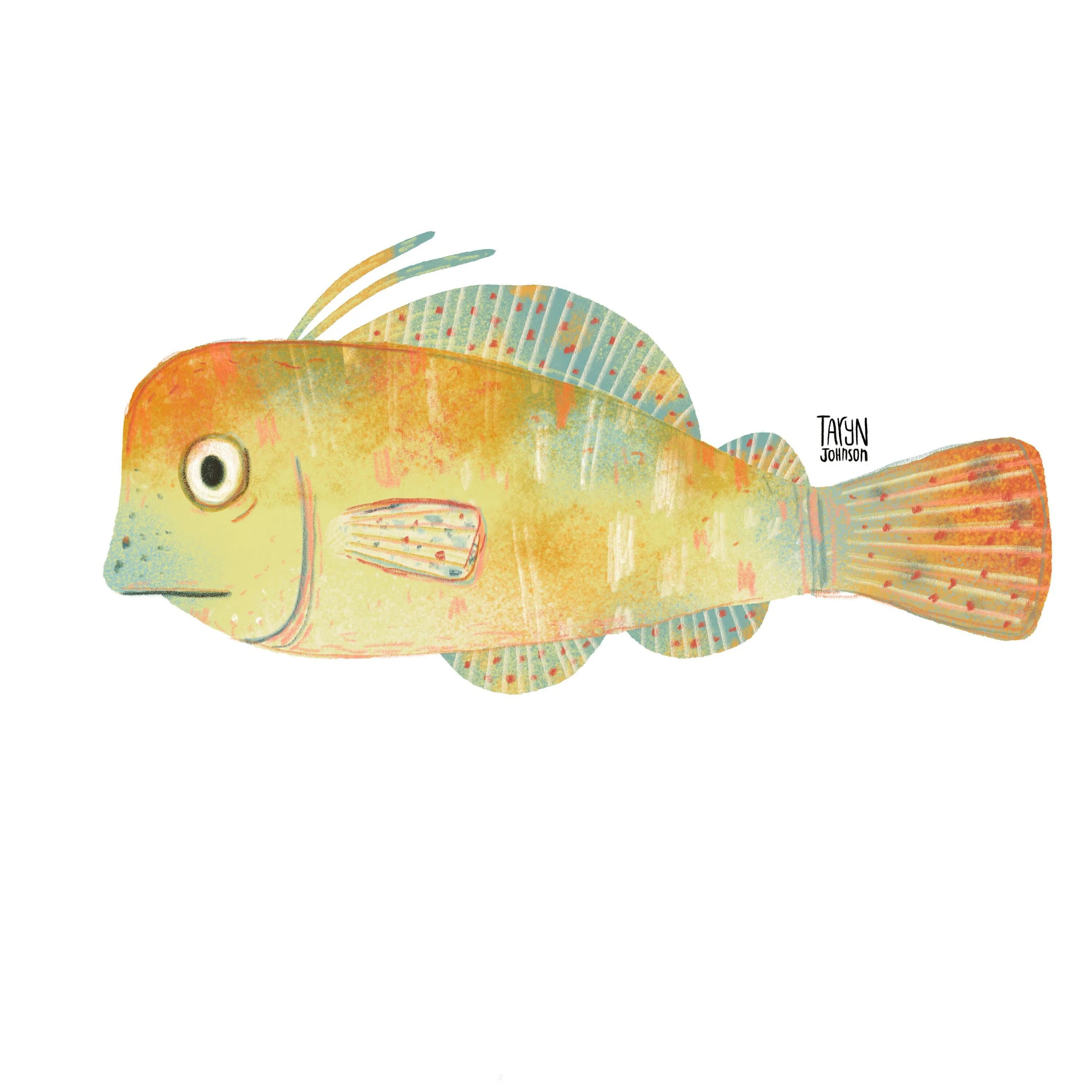 11/100 a yellow-ish fish