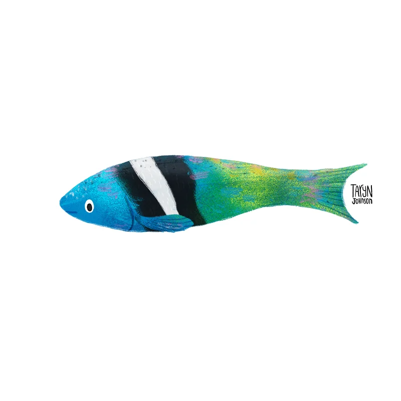 Fish039_tarynjohnson.jpg