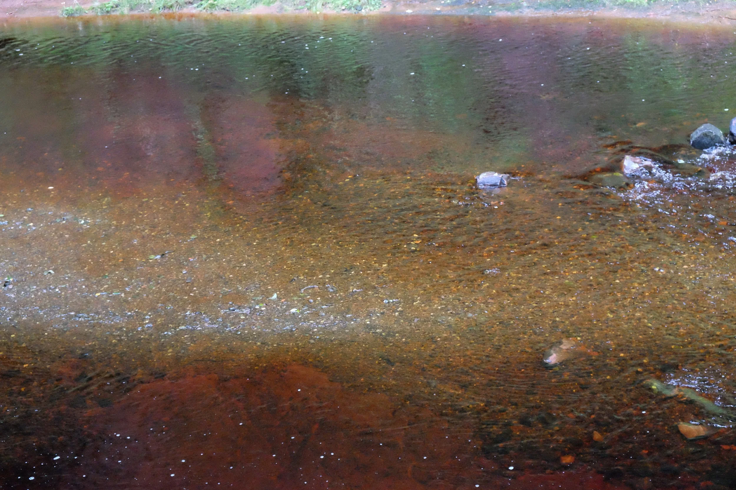 DSCF1606.JPG