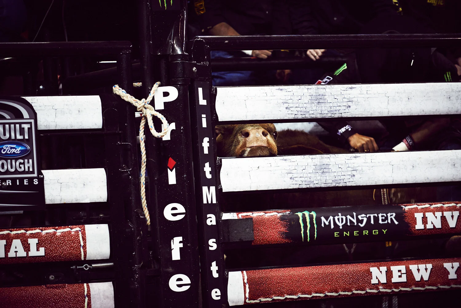 James-Farrell-Photo-PBR-Rodeo_09.jpg