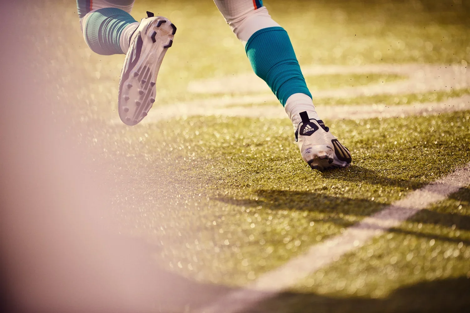 James_Farrell_Photo_NationalFootball_Jets_Dolphins_0031.webp