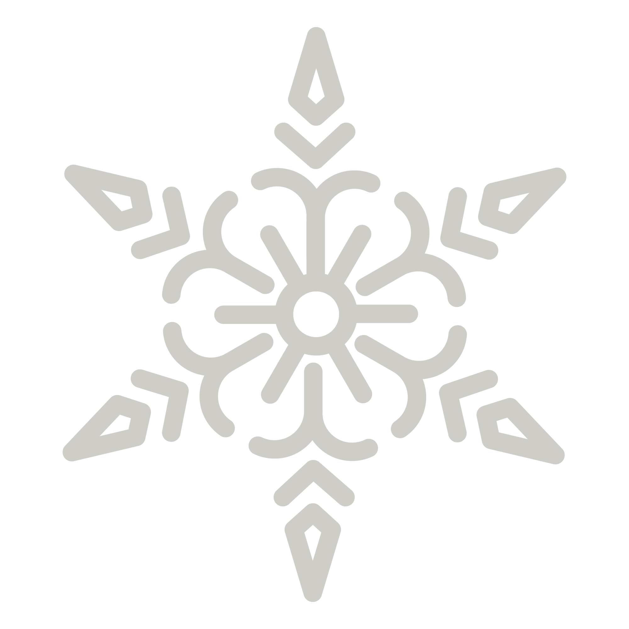 A white snowflake design on a black background.