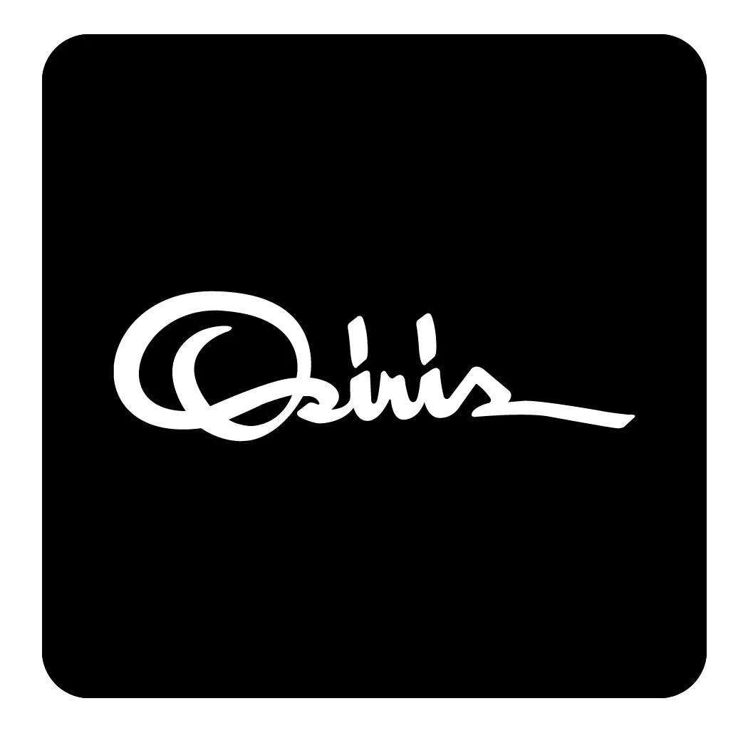 Osiris Shoes - Cursive logo