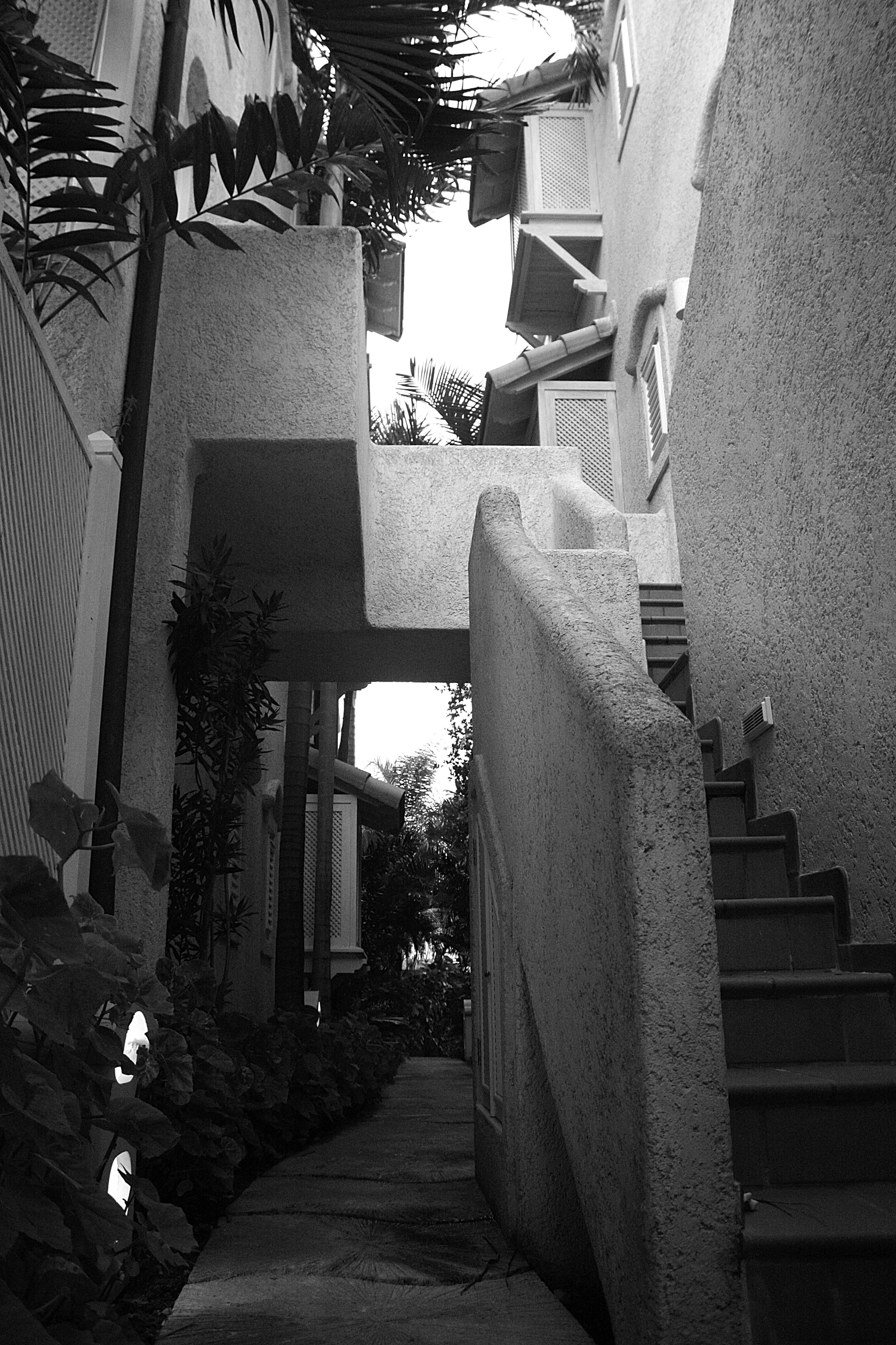 Stairway Culture