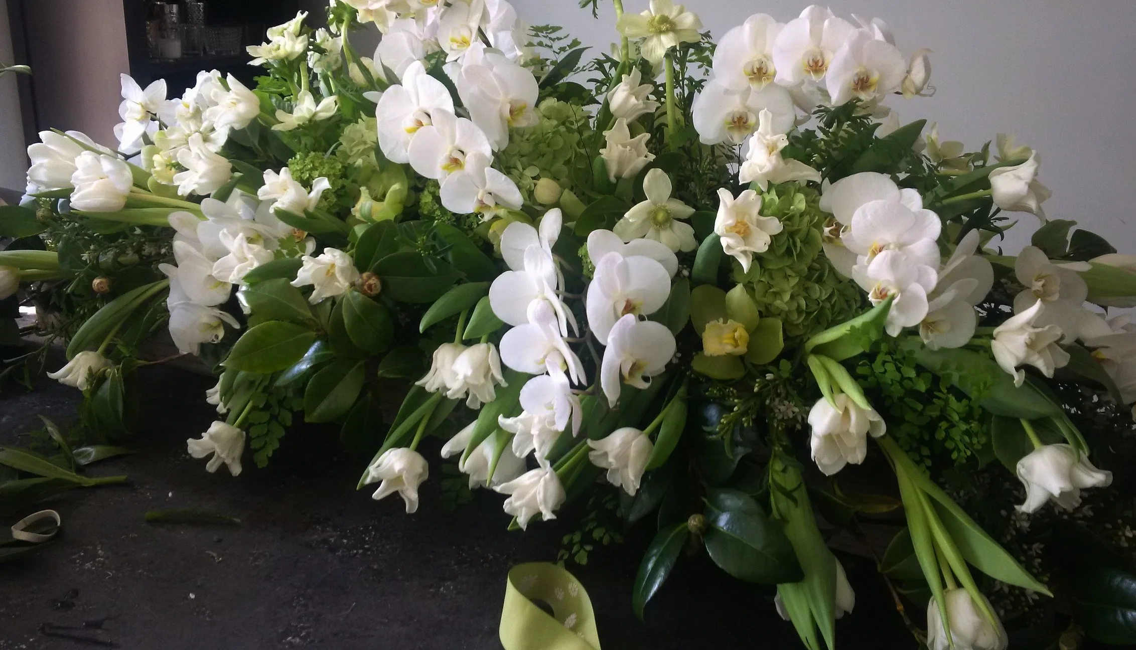 Orchids and Tulips