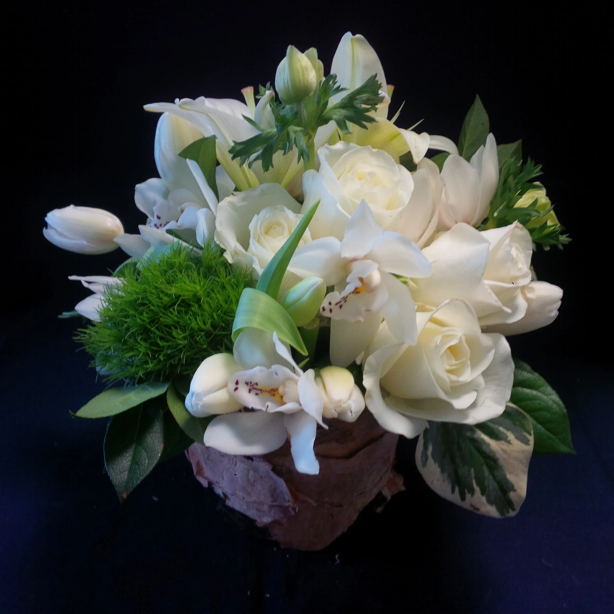 Birch Wrapped Elegance