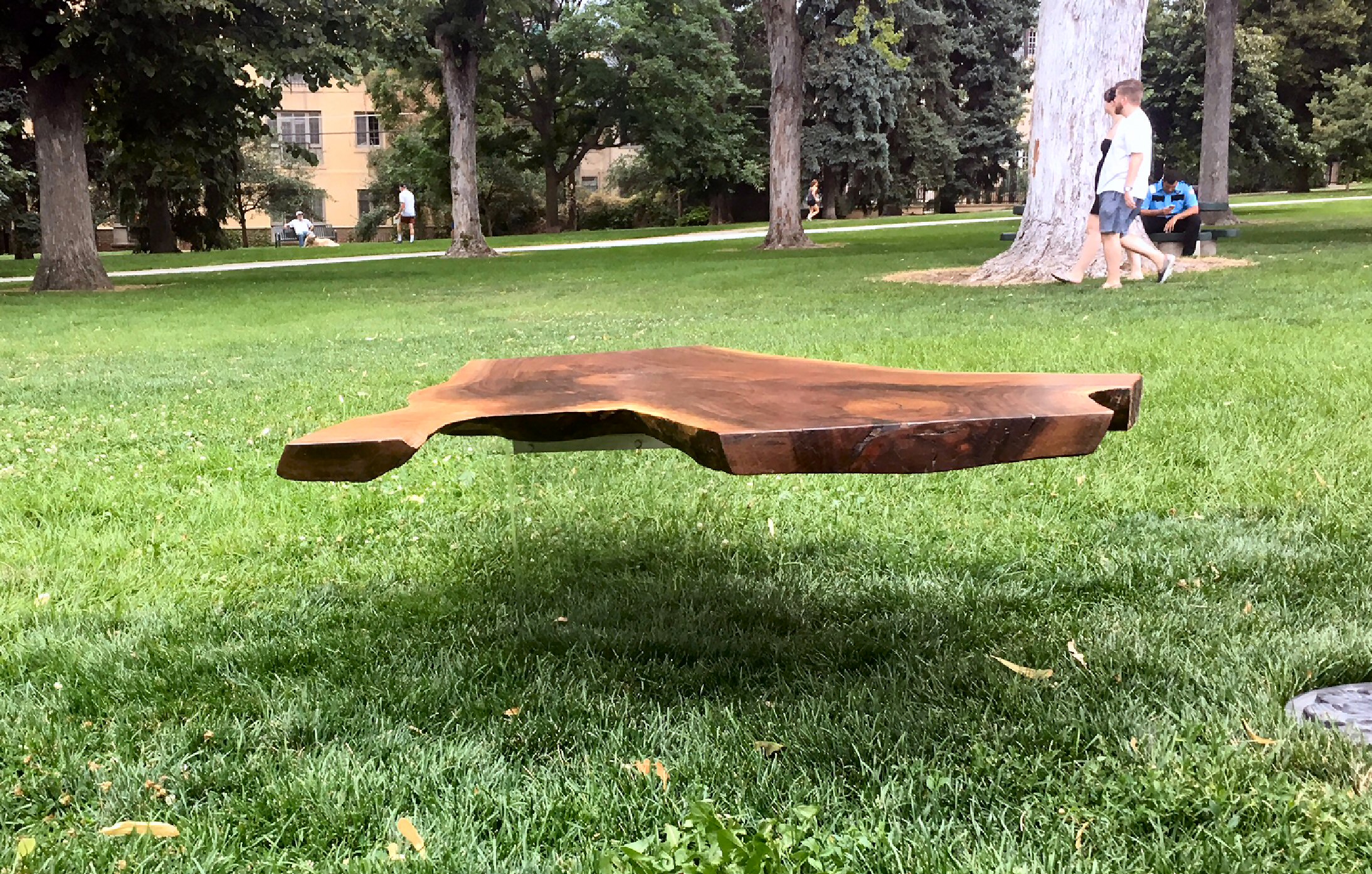 Live Edge Coffee Table with Acylic base 