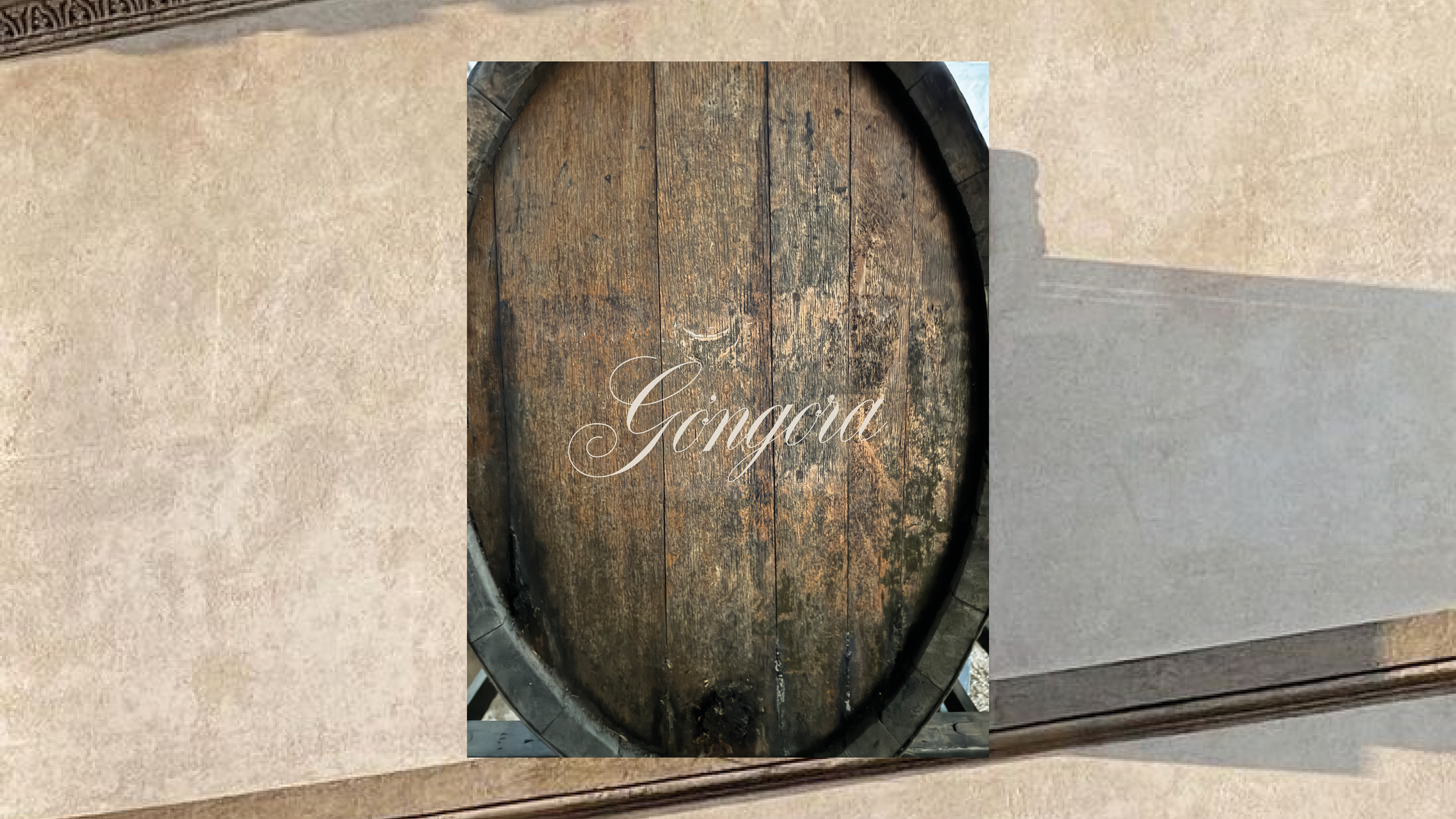 BZStudio - Credenciales 202610.png