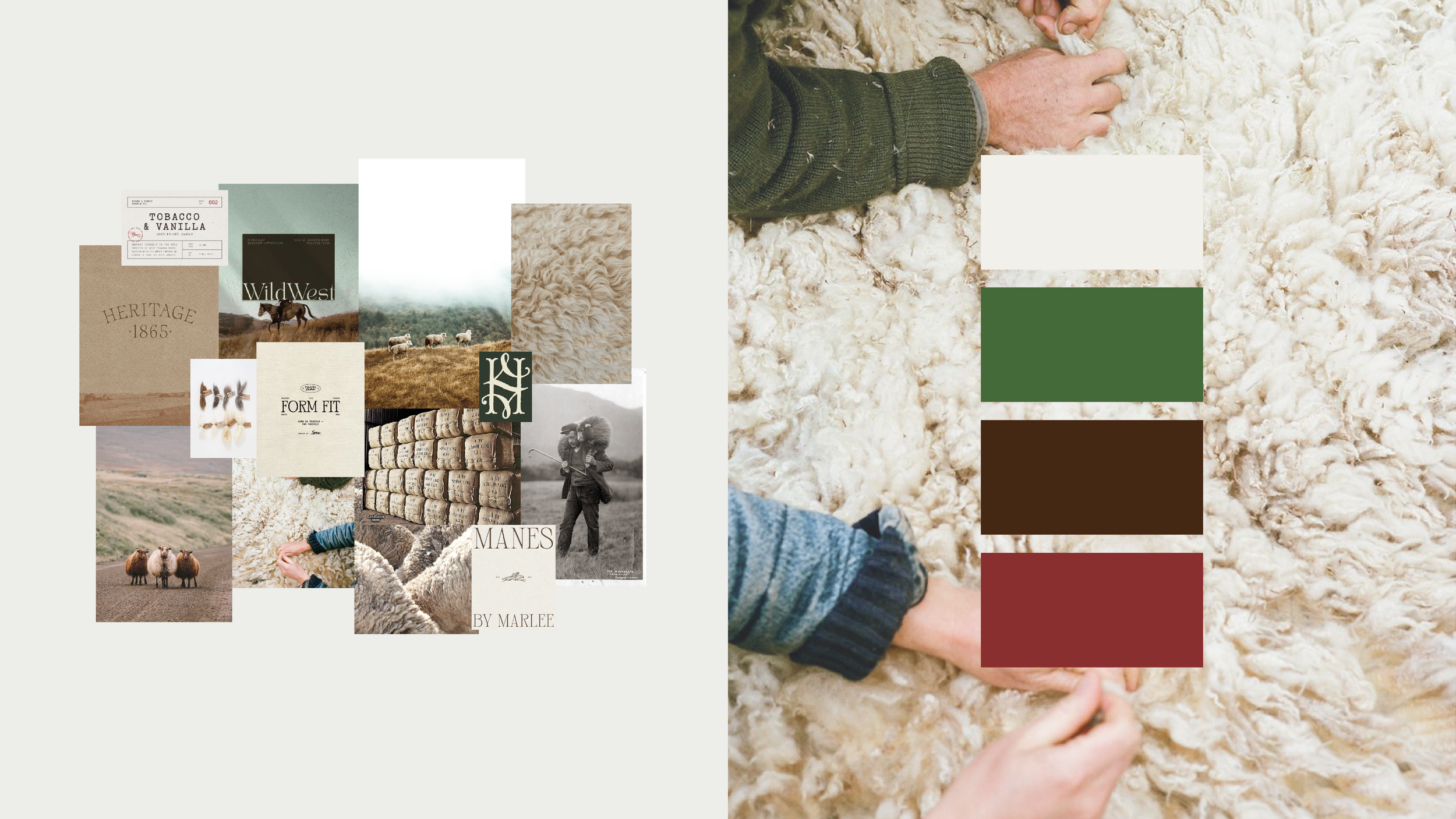 BZStudio - Credenciales 20252.png