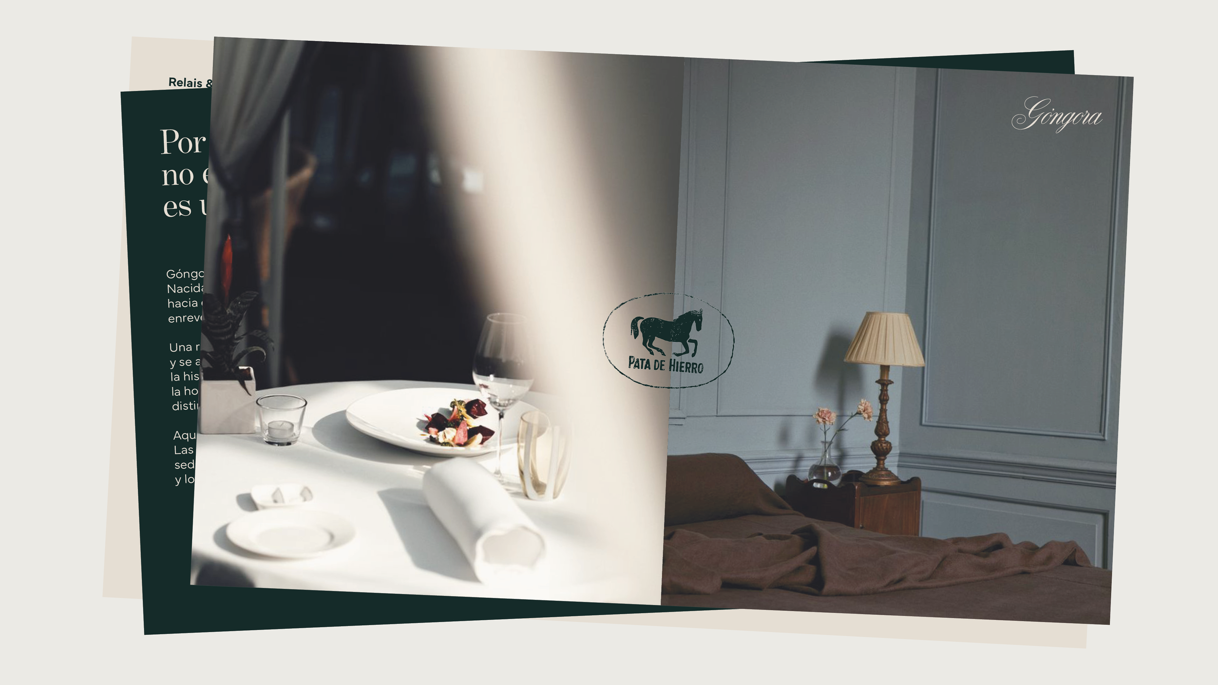 BZStudio - Credenciales 20266.png