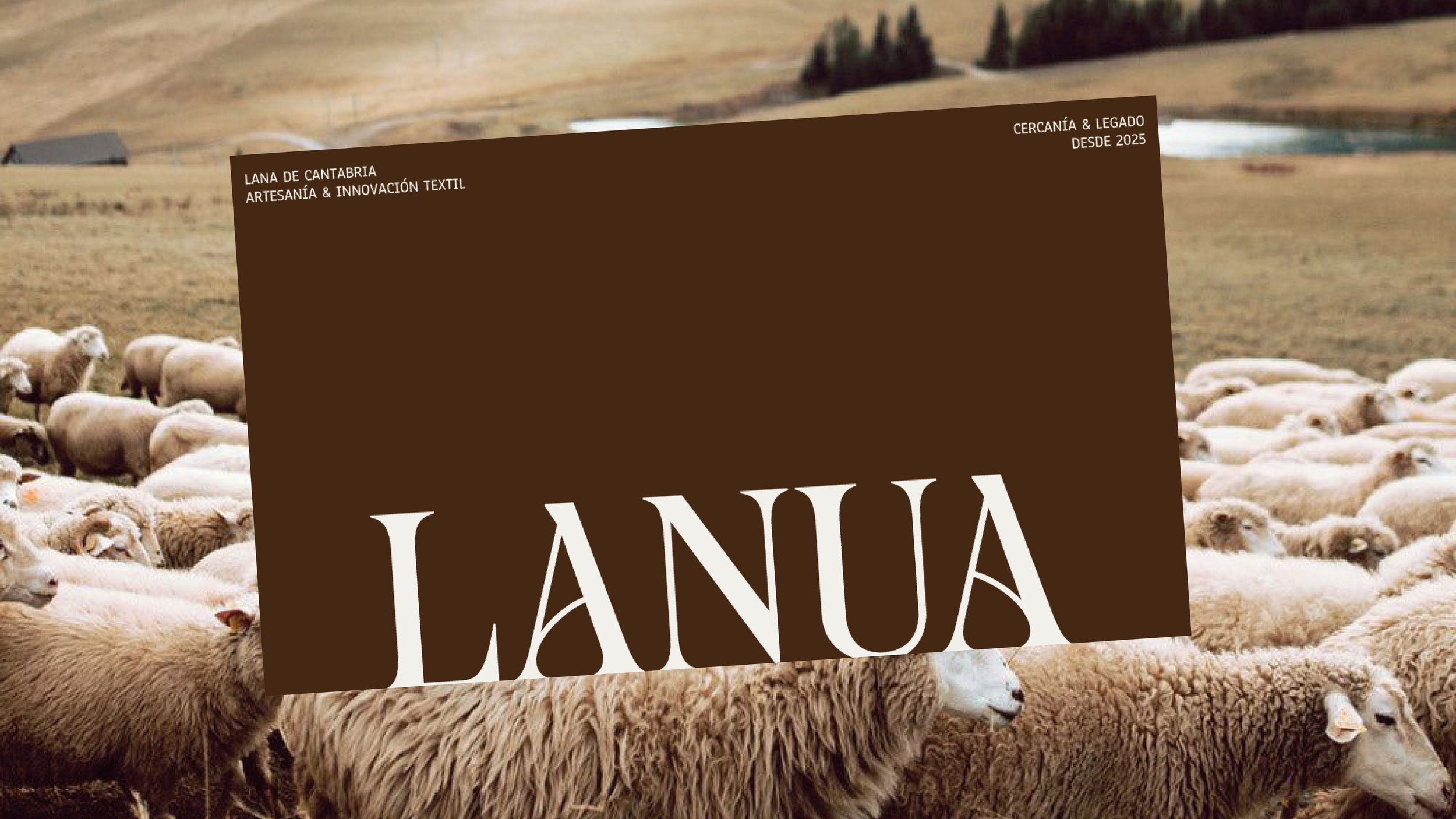 BZStudio - Credenciales 20255.png