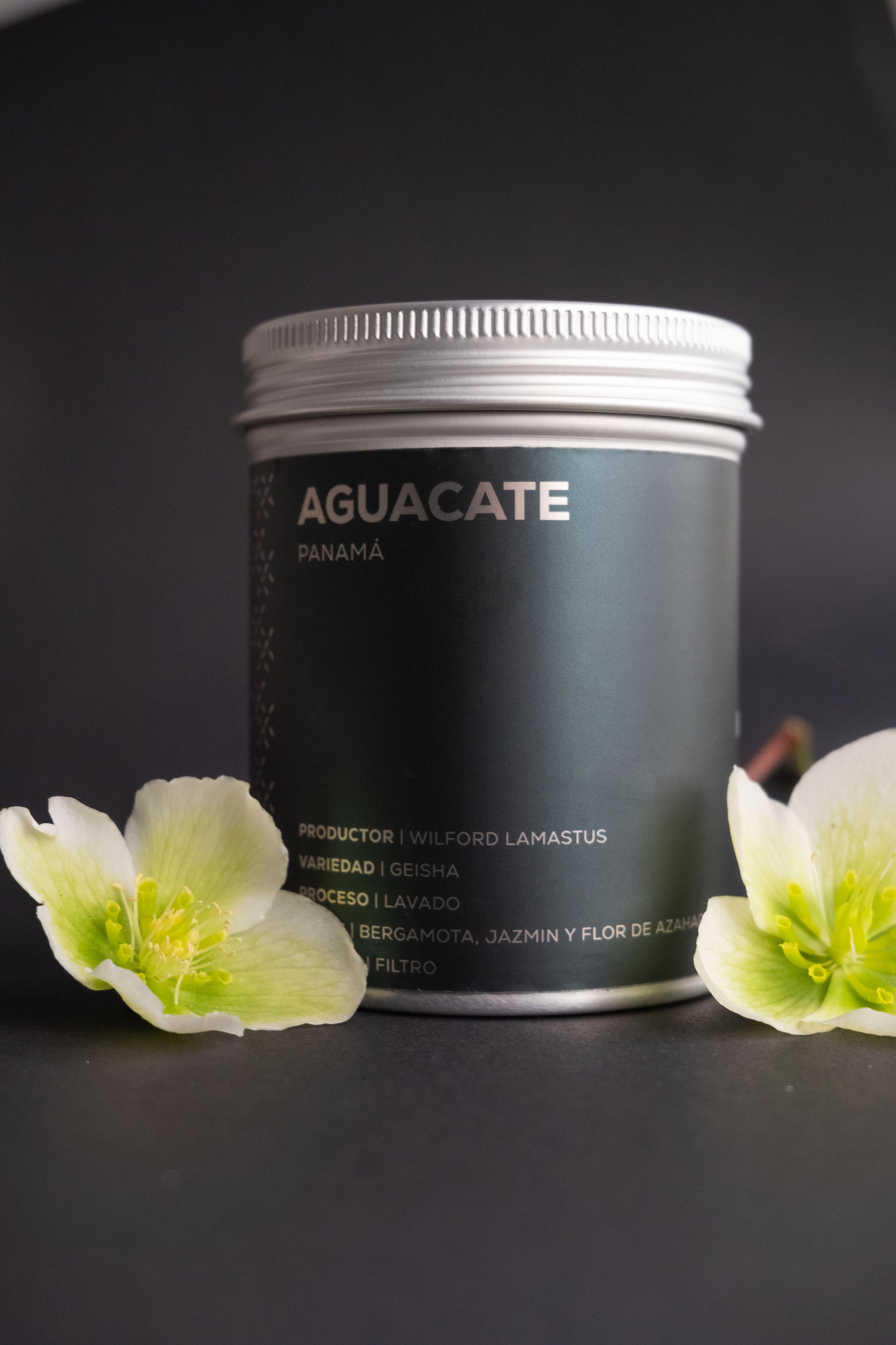 BZStudio - Credenciales 202614.jpg