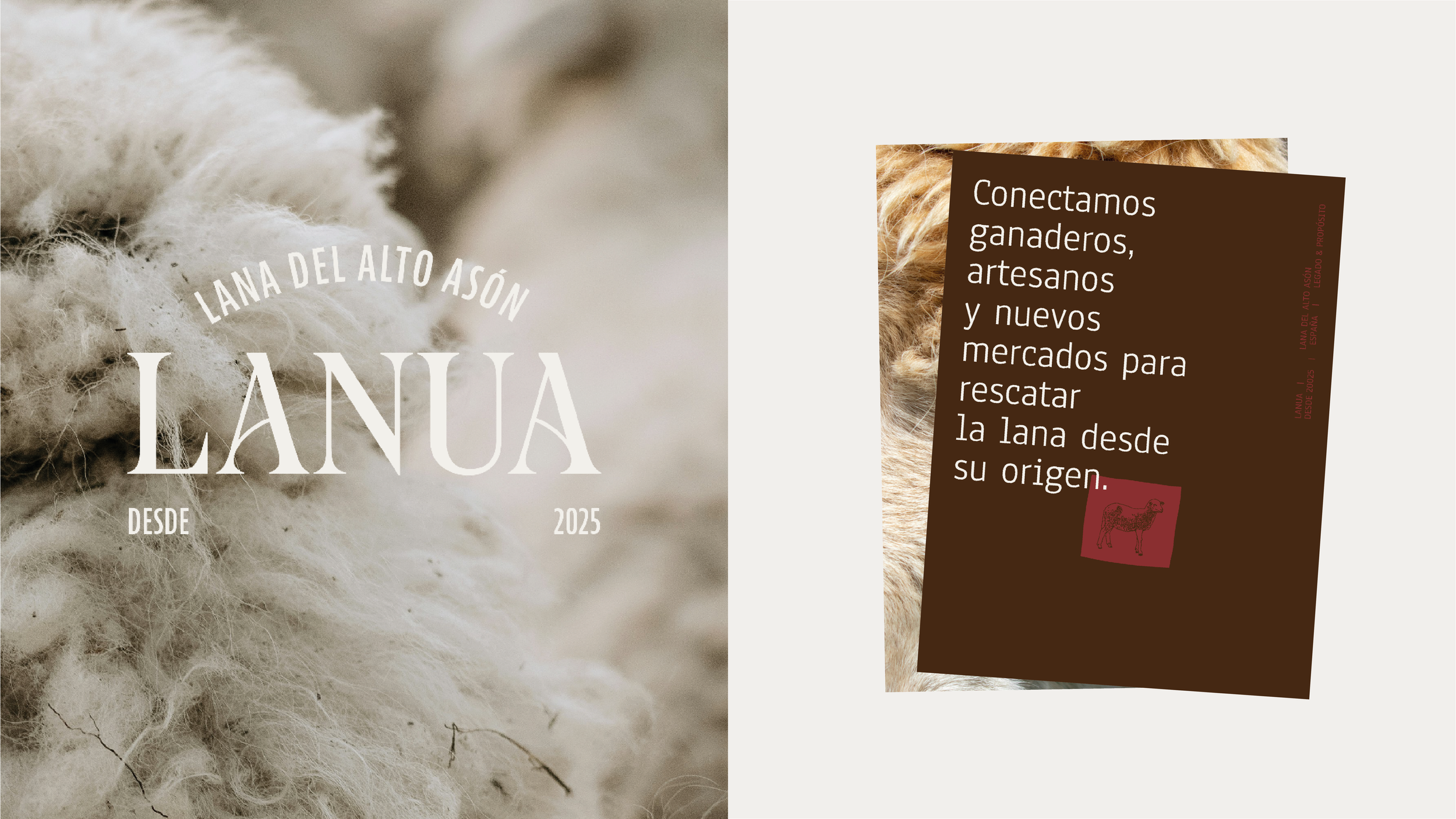 BZStudio - Credenciales 20257.png