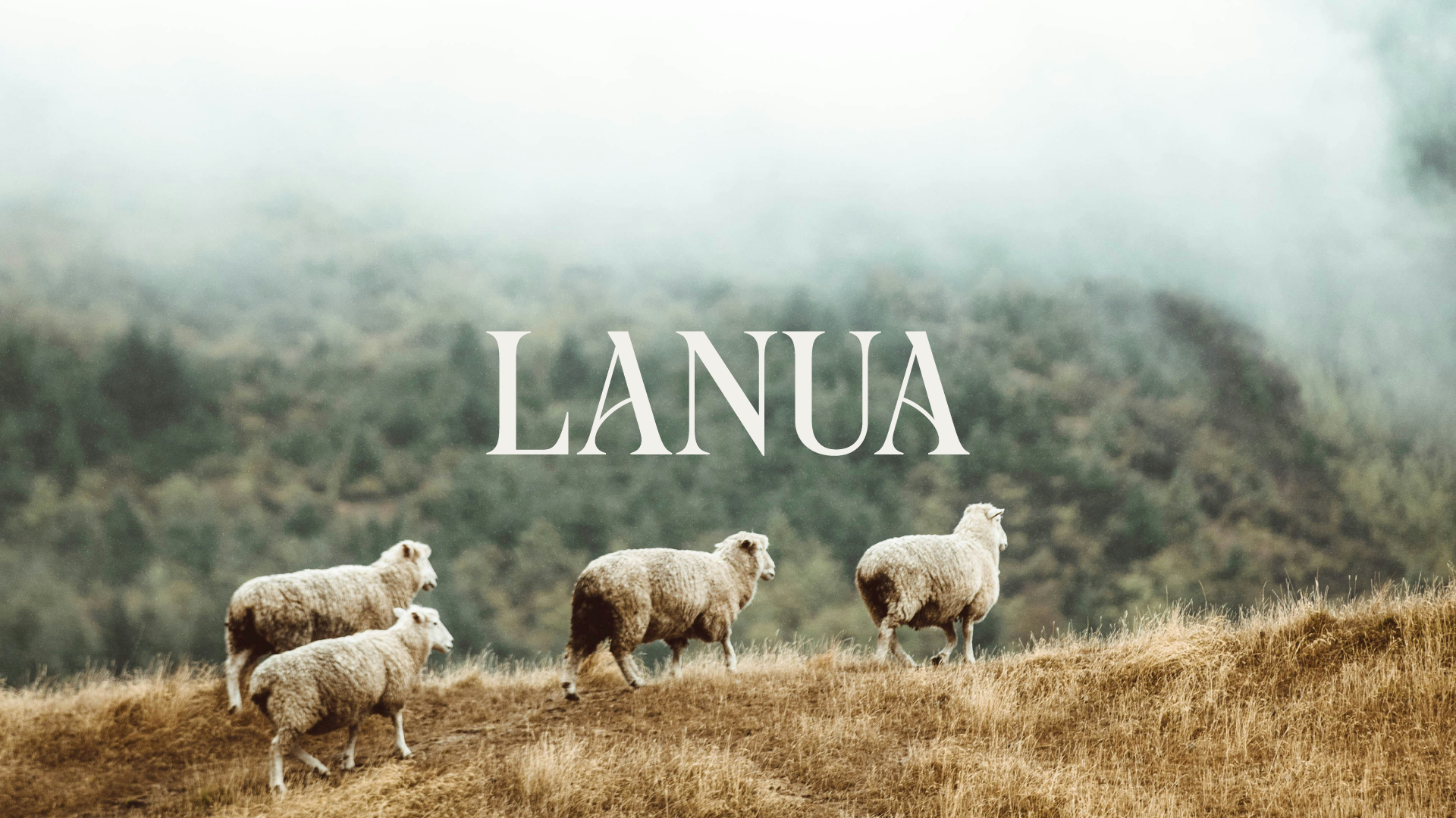 Lanua