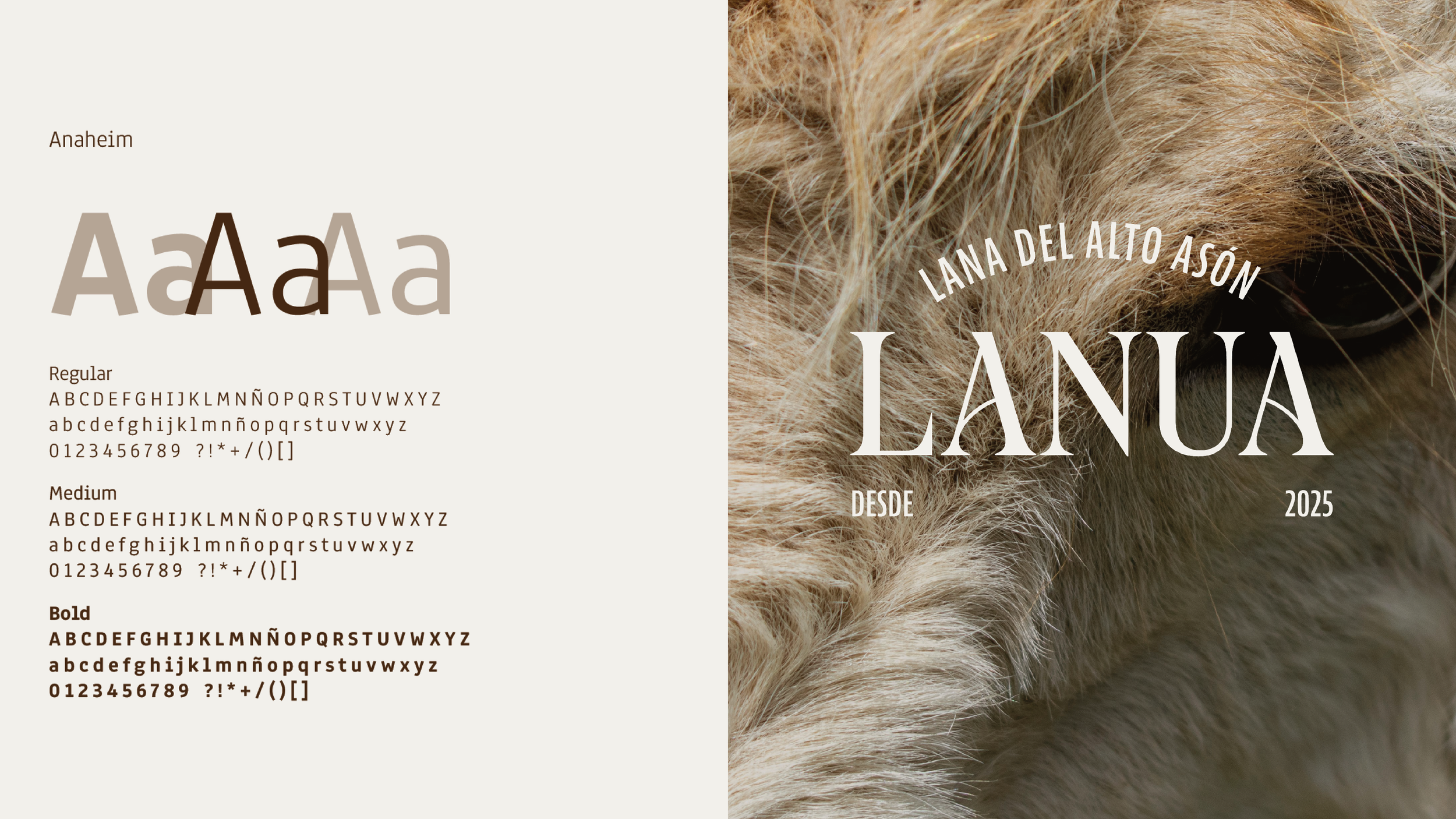 BZStudio - Credenciales 20253.png