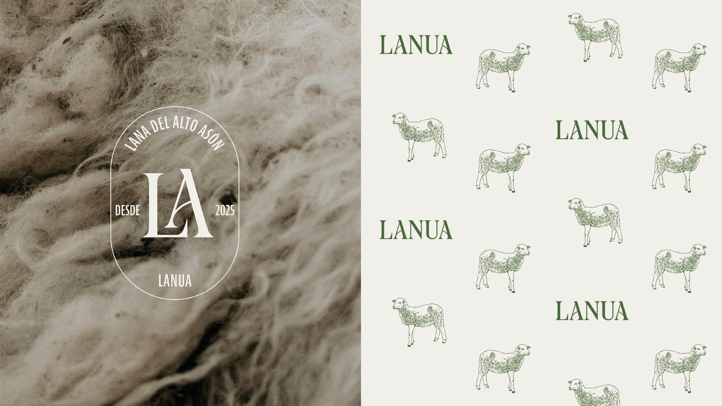 BZStudio - Credenciales 20254.png