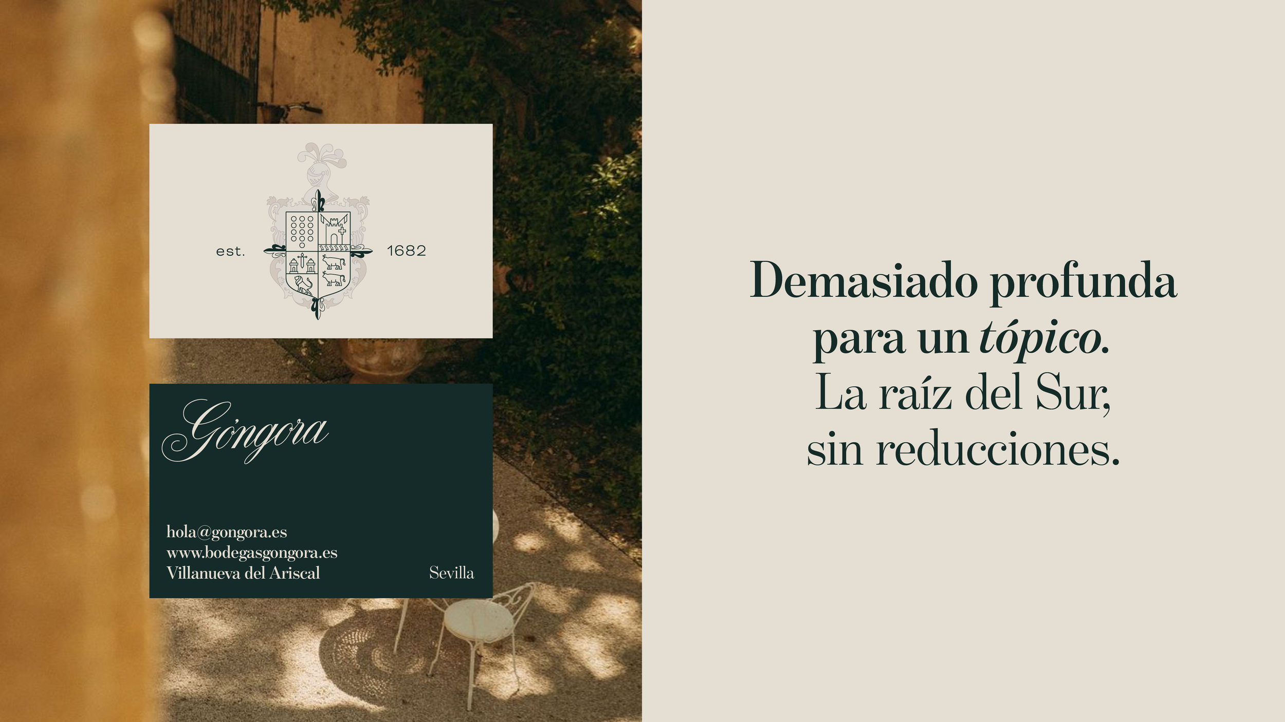 BZStudio - Credenciales 20265.png