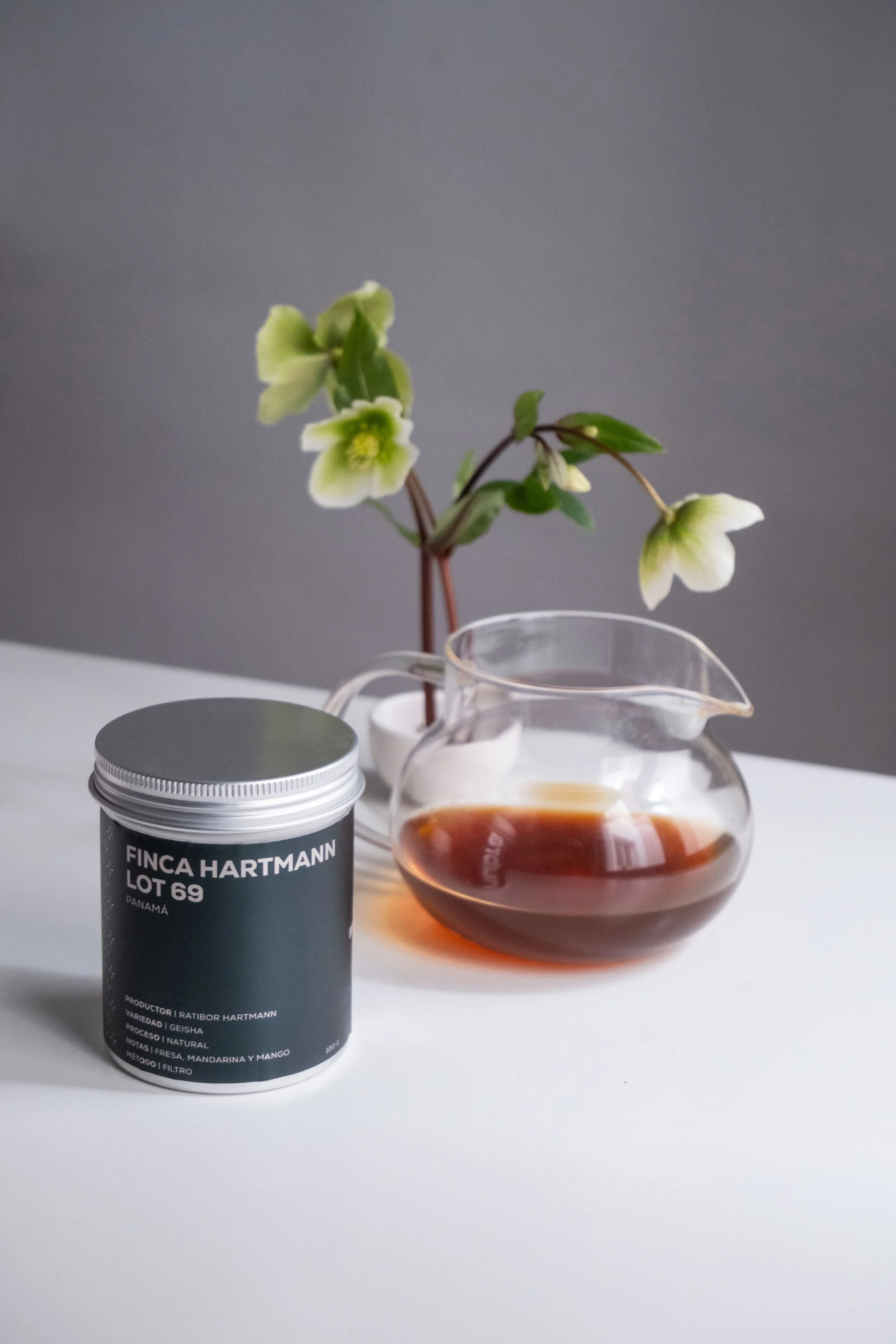 BZStudio - Credenciales 202615.jpg