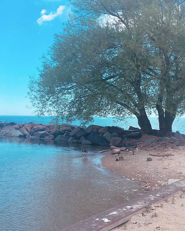 Lake Michigan is beautiful ✨❤️