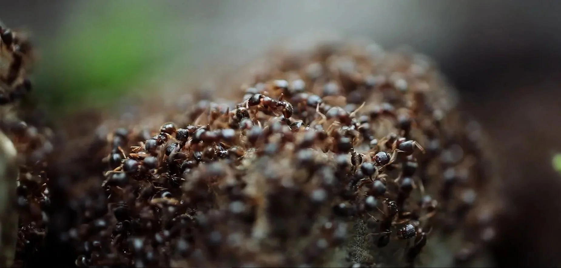 Tiffany Deater: What Lives Underneath, NMWA 2025