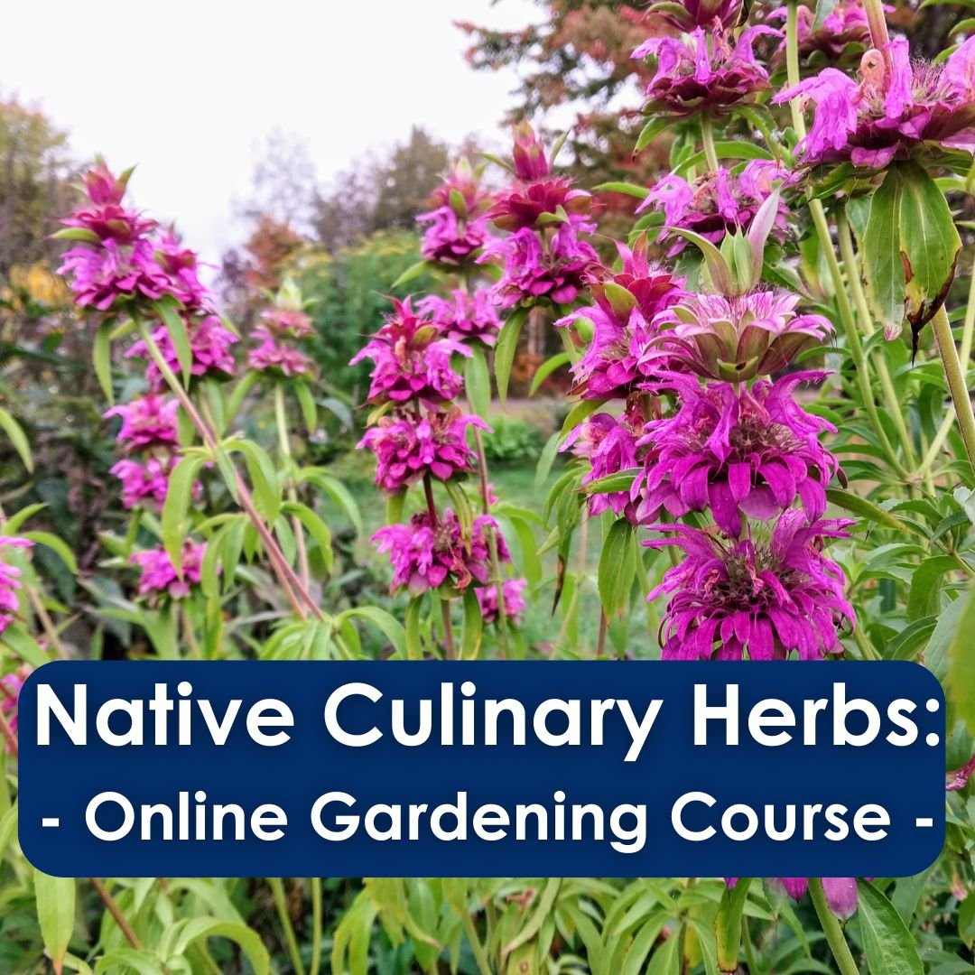 Native Culinary Herbs - Online Gardening Course -.jpg