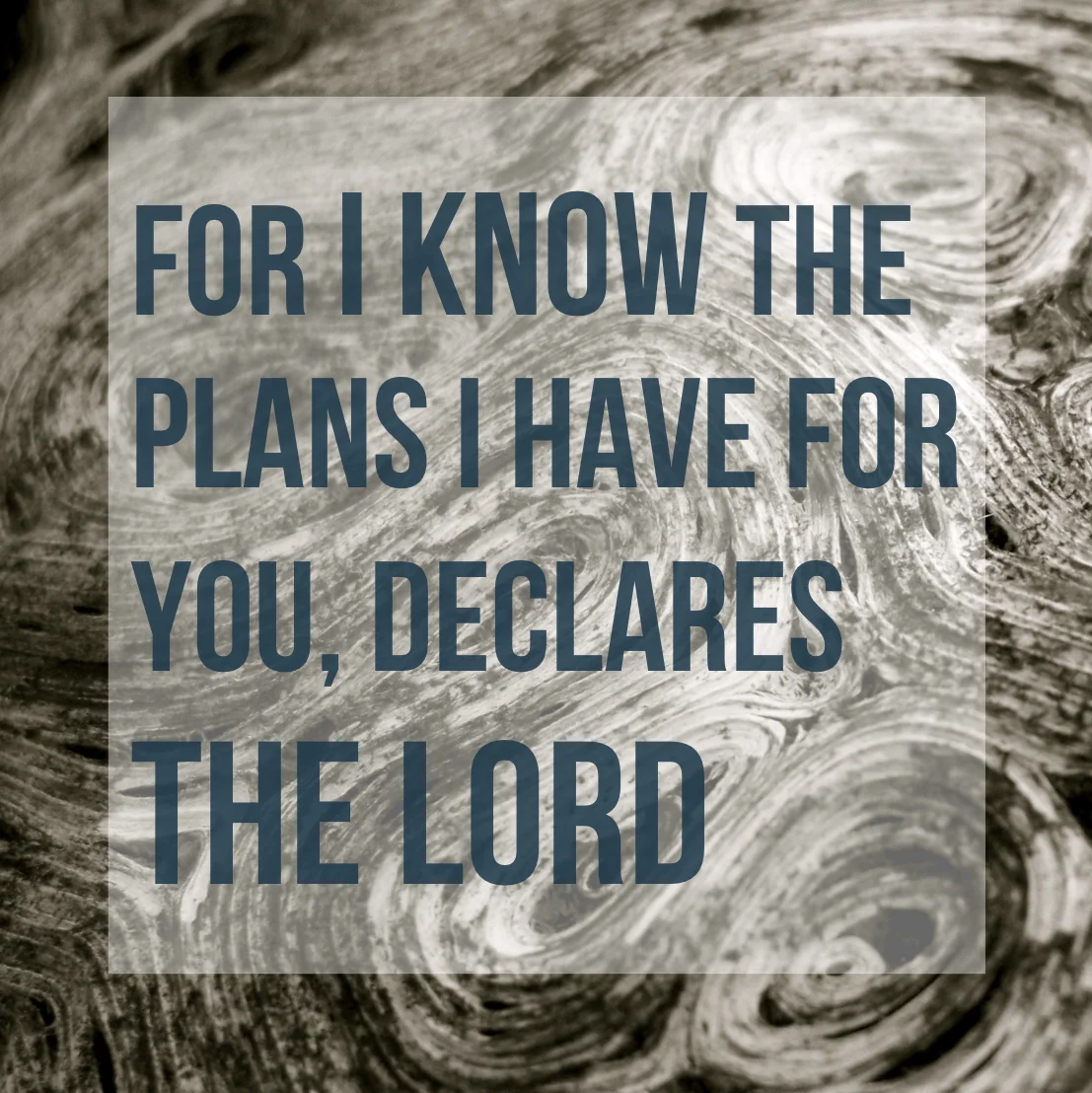 The Beauty of Failed Plans