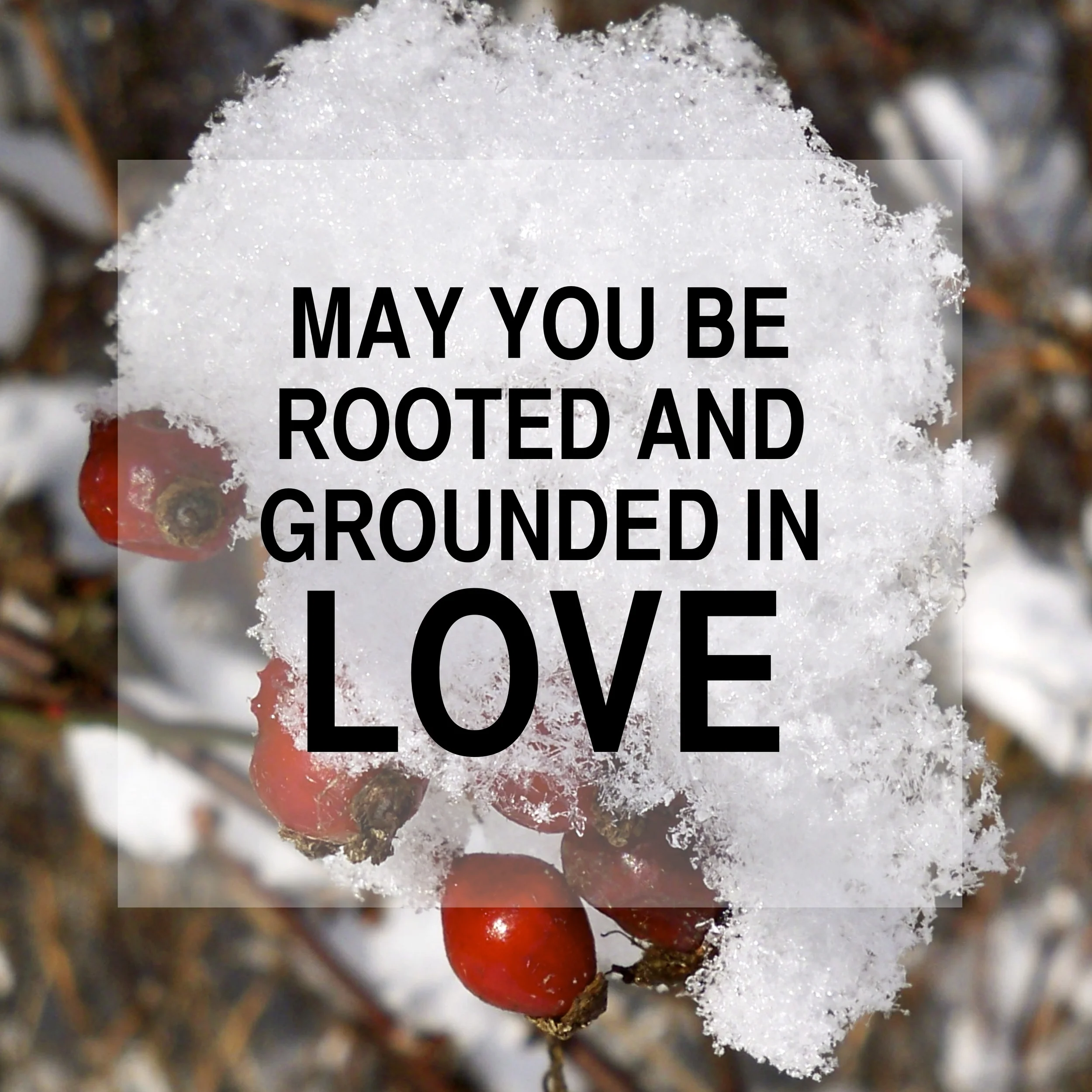 Grace For Those Below