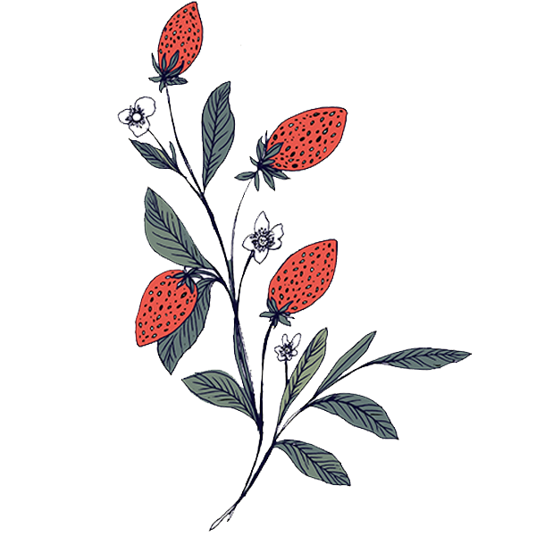 Strawberries_No Text.png