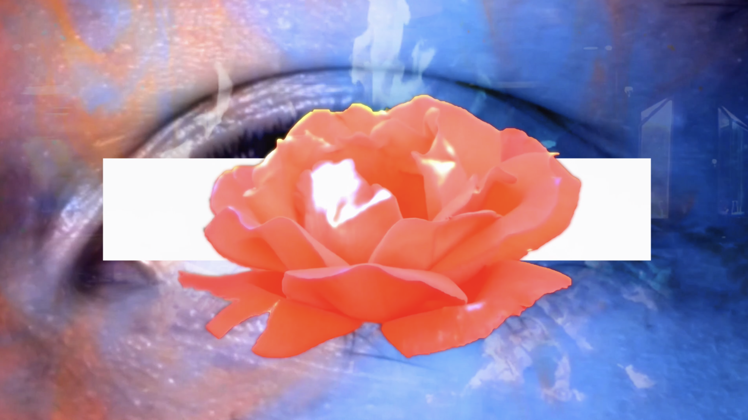Screen Shot 2019-05-12 at 2.33.35 PM.png
