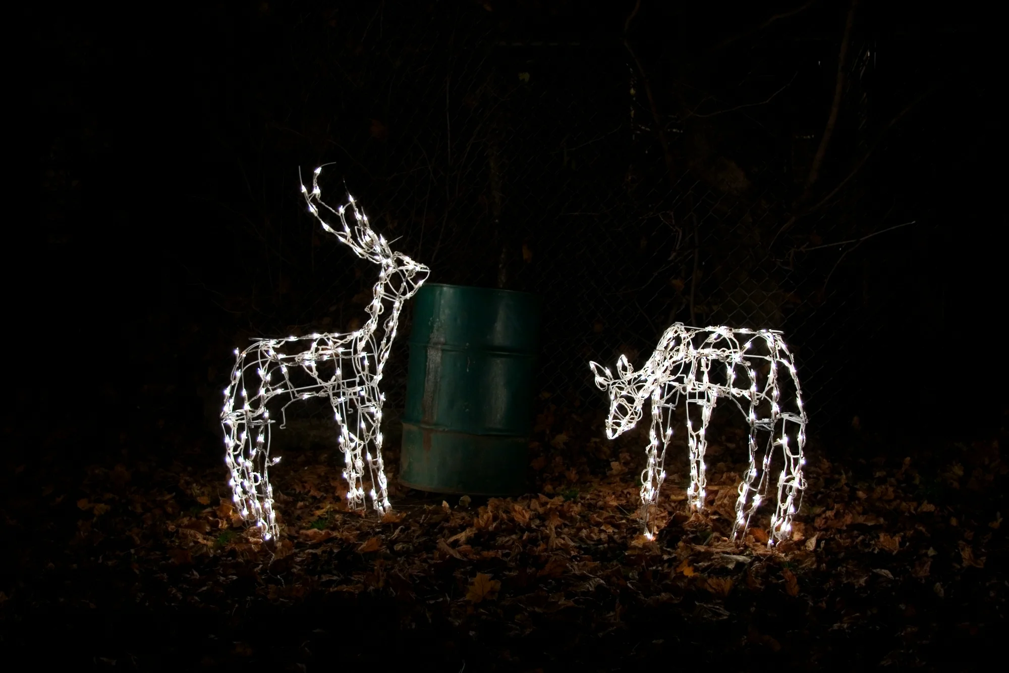 remi_thornton_runaway_reindeer.jpg