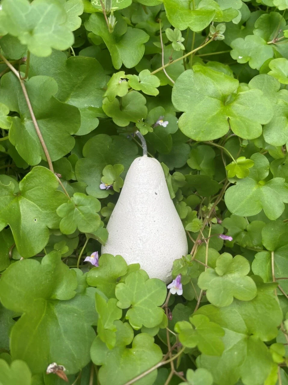 Welcome to Jams Catering