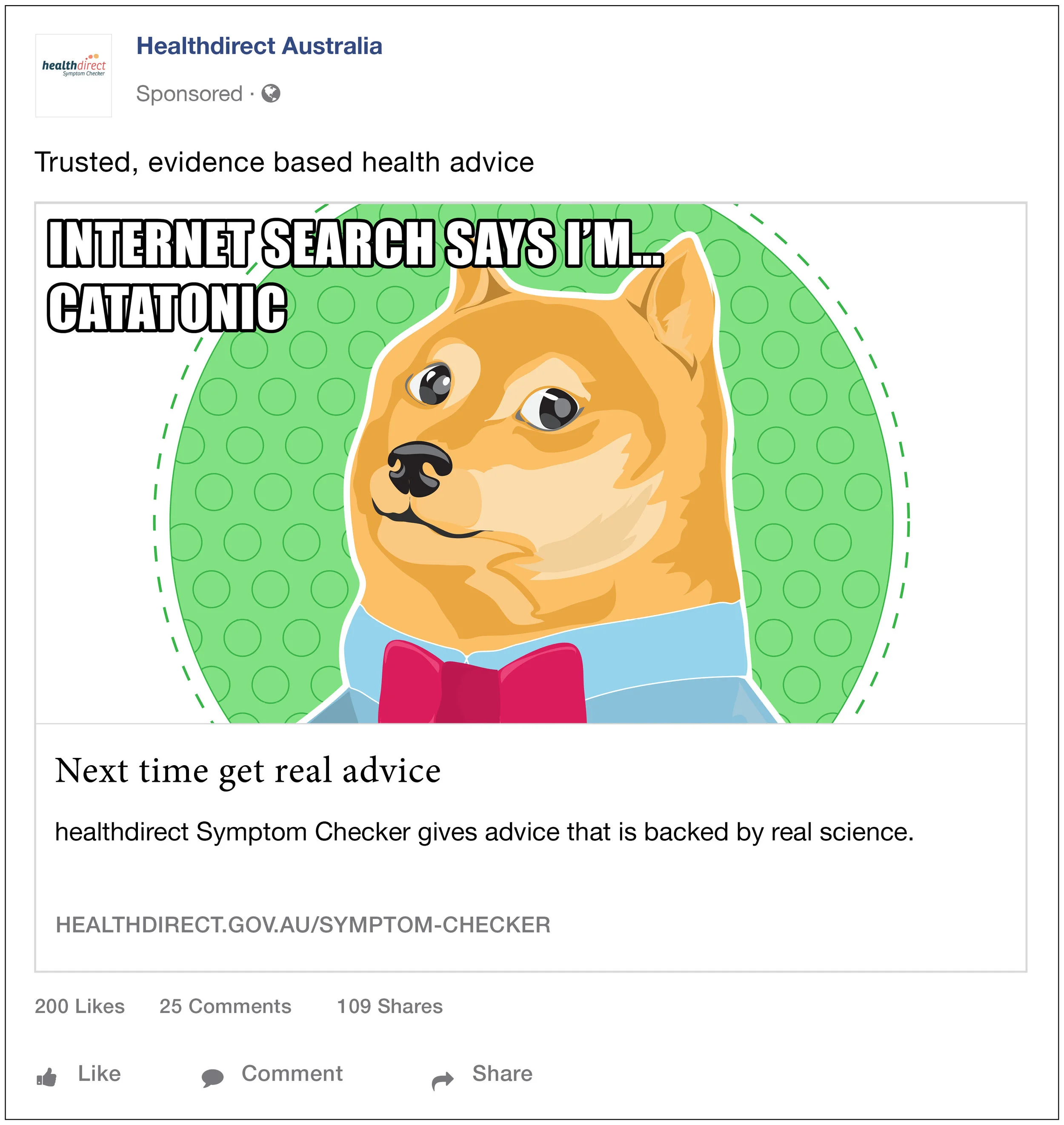 1.3 INTERNET SAYS I'M...CATATONIC.jpg