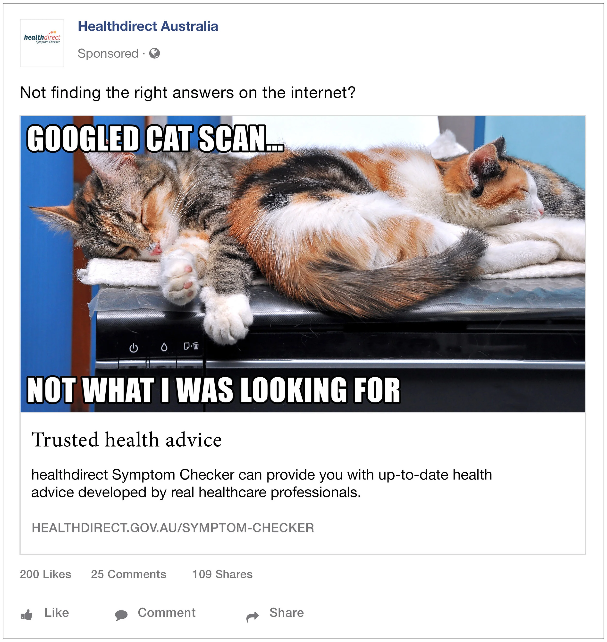 4.1 GOOGLED CAT SCAN... NOT WHAT I WAS LOOKING FOR.jpg