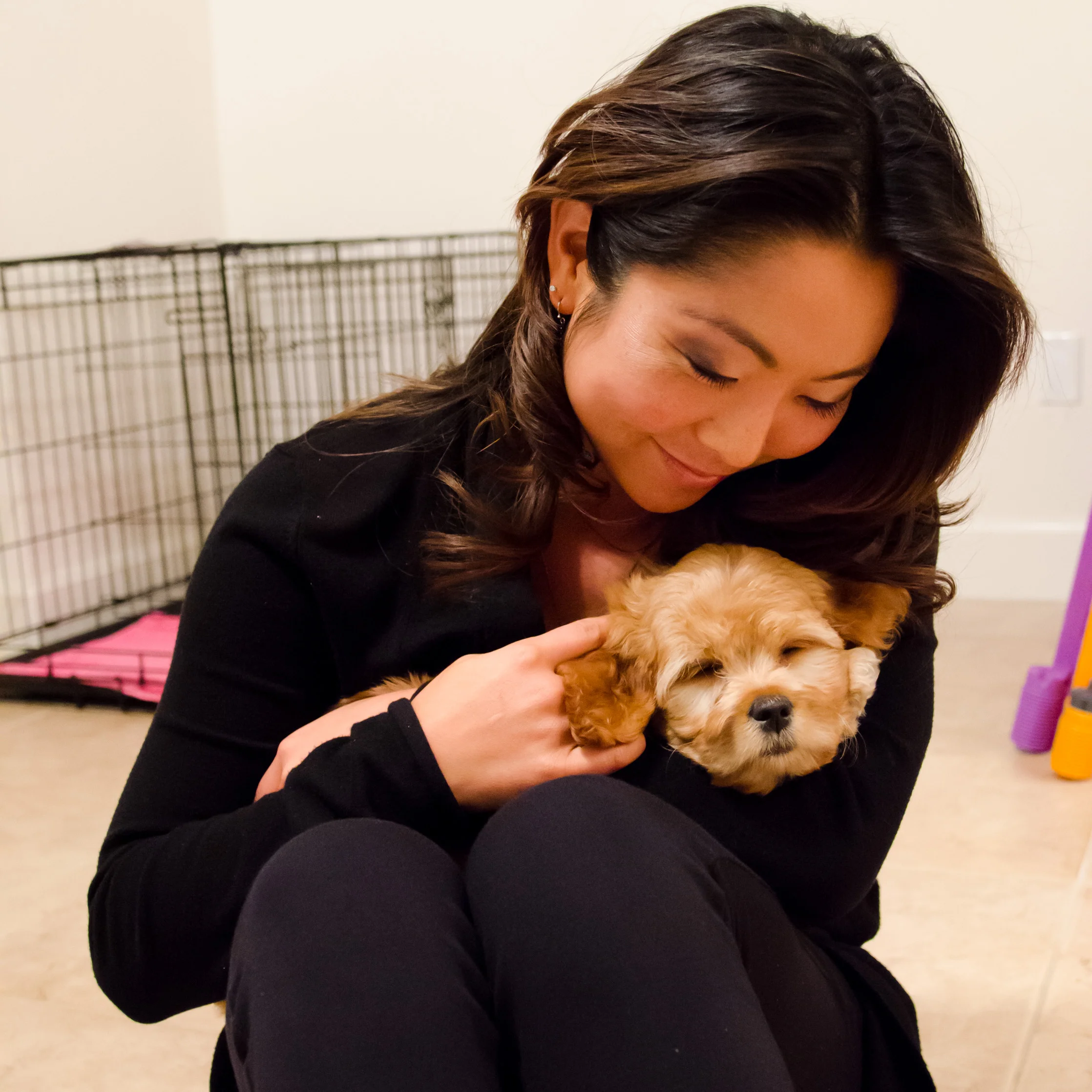 Meet Molly. #labradoodlelove #proudauntie (Photo: J. Torralba)