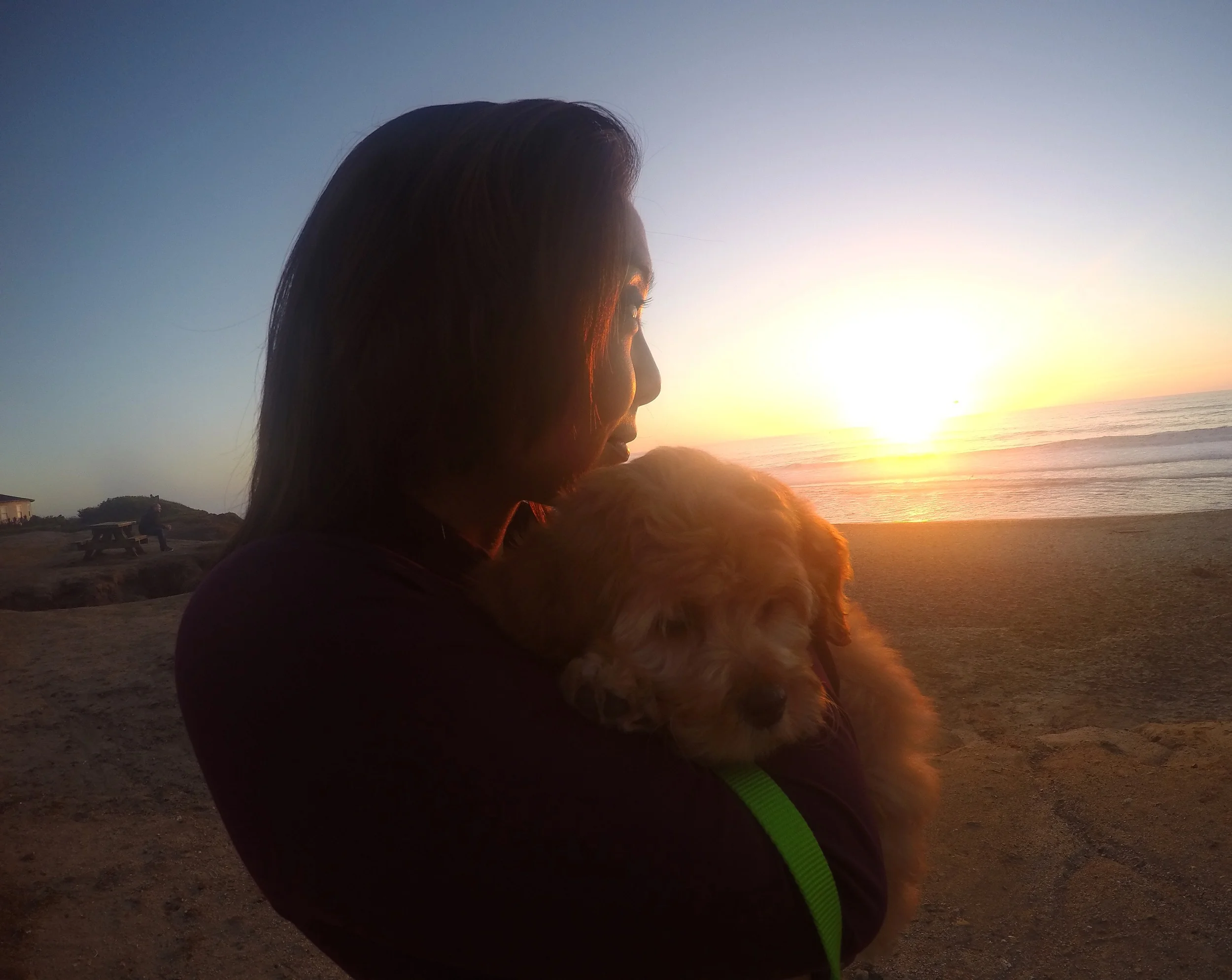 Molly's first sunset and visit to the beach... (Photo: J. Torralba)