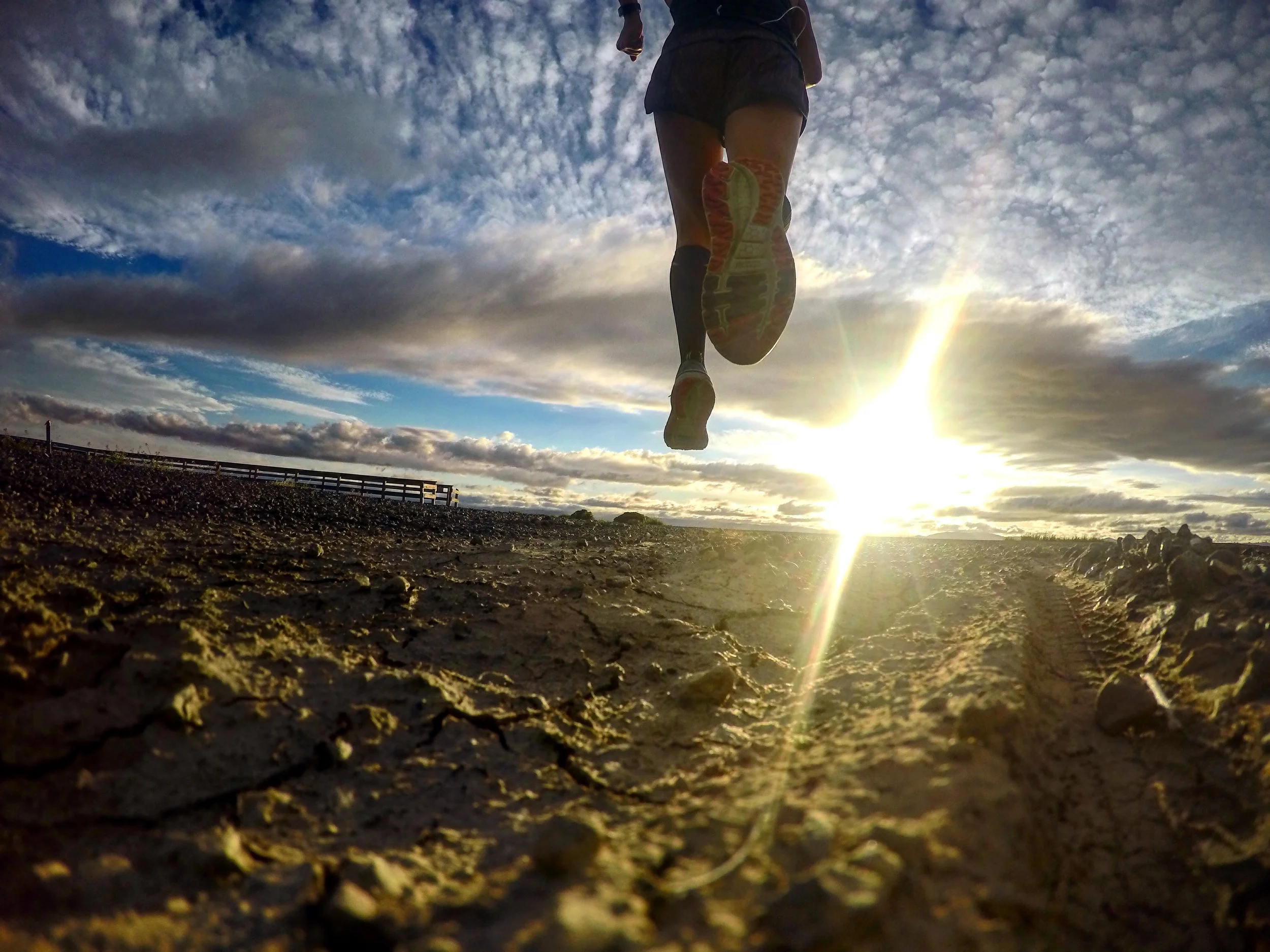 Chasing the sunset at San Leandro Marina.
