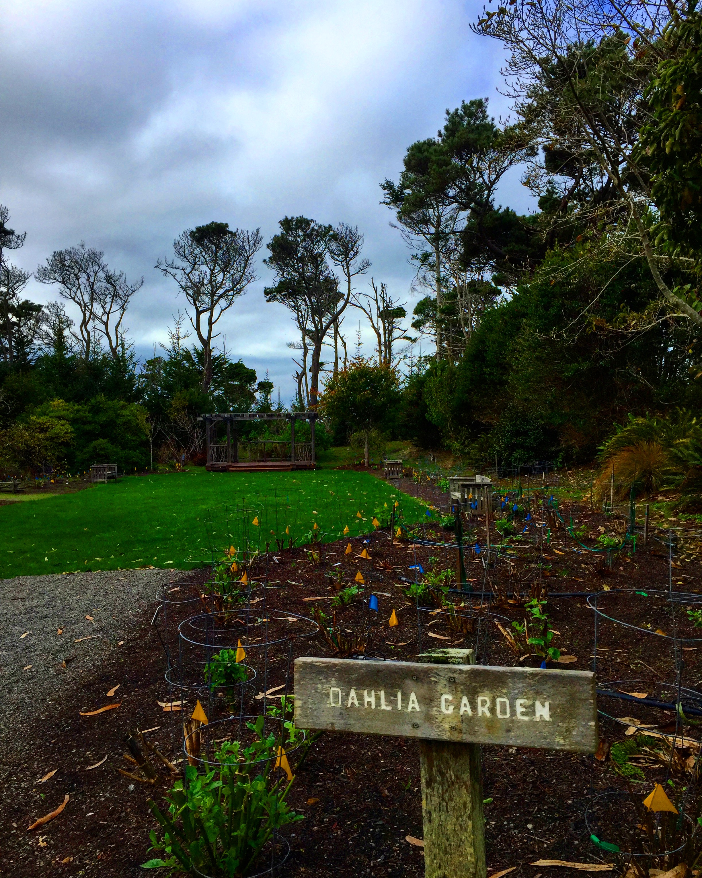 Mendocino Coast Botanical Gardens