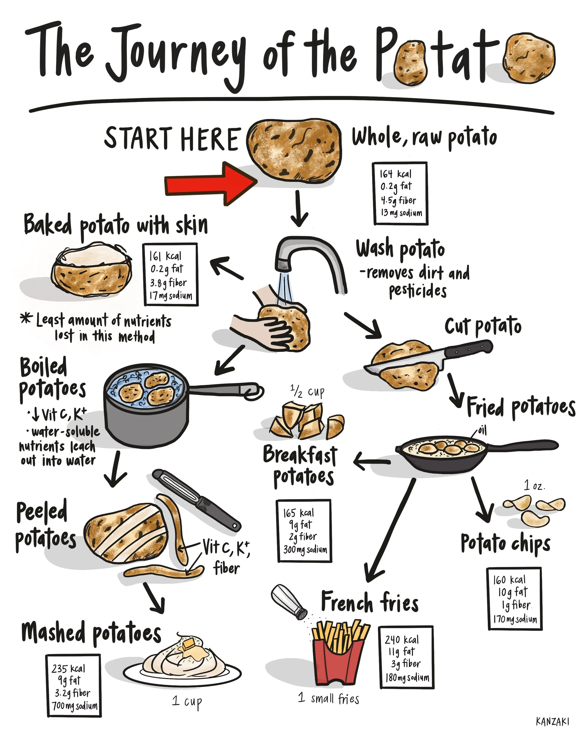 The Journey of the Potato.  A fun infographic that illustrates the nutritional difference between a whole food in comparison to its refined/processed versions. (made with Procreate, November 2022)