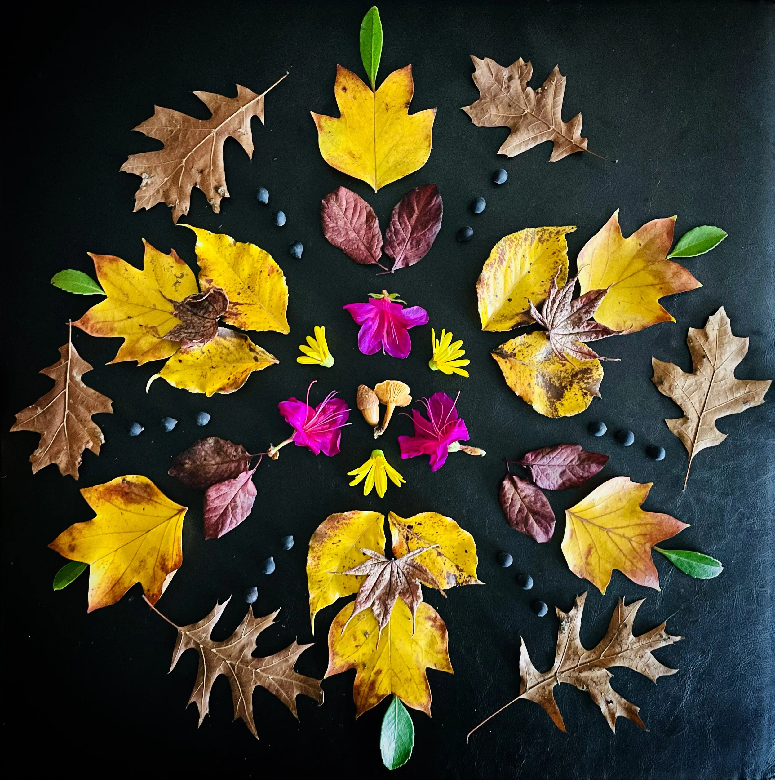 Goodbye, 2022 . A nature mandala symbolizing main themes from 2022. All materials were foraged and returned to Mother Nature. (December 2022)